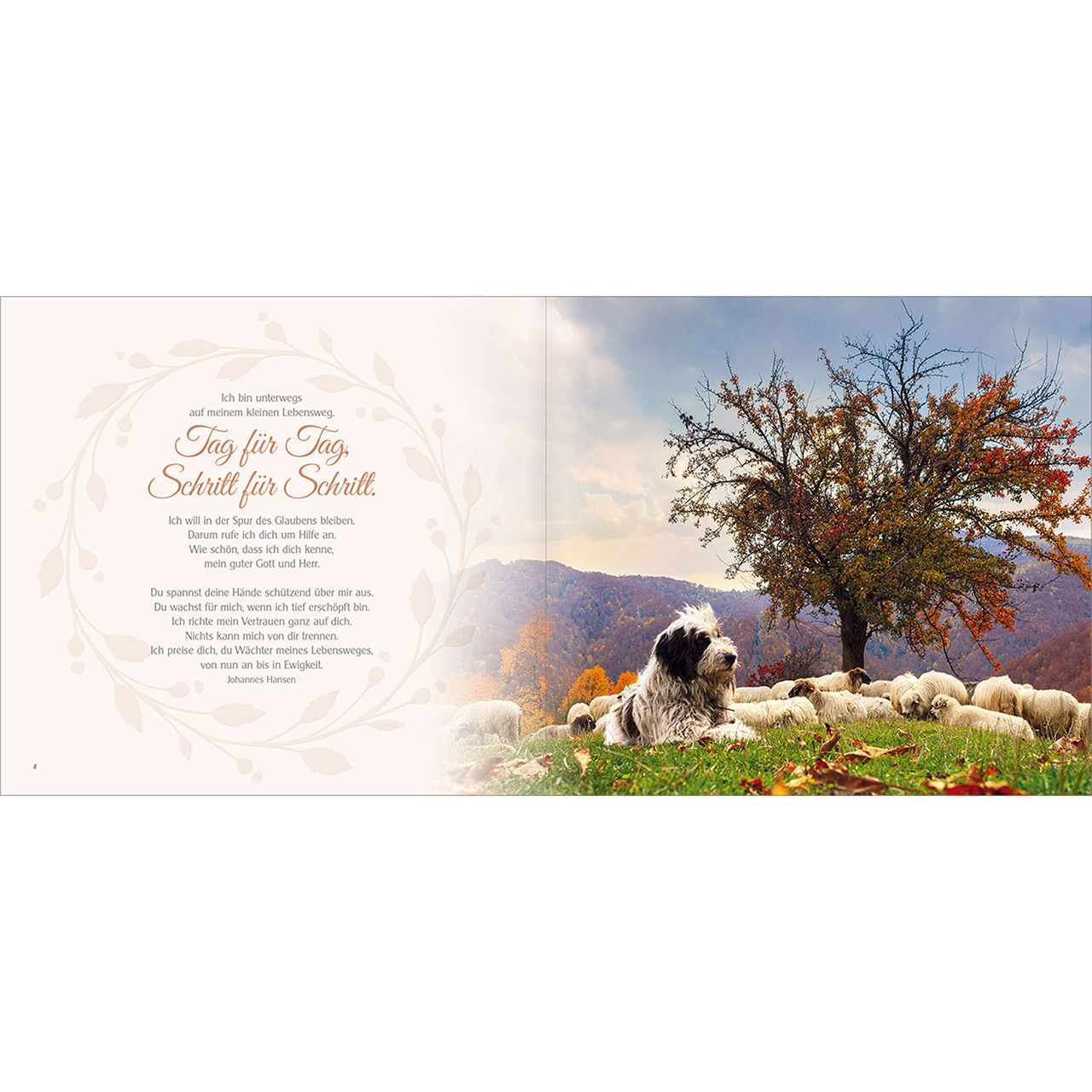 Geschenkbuch - 23 - Der Psalm fürs Leben - Schaf Lamm