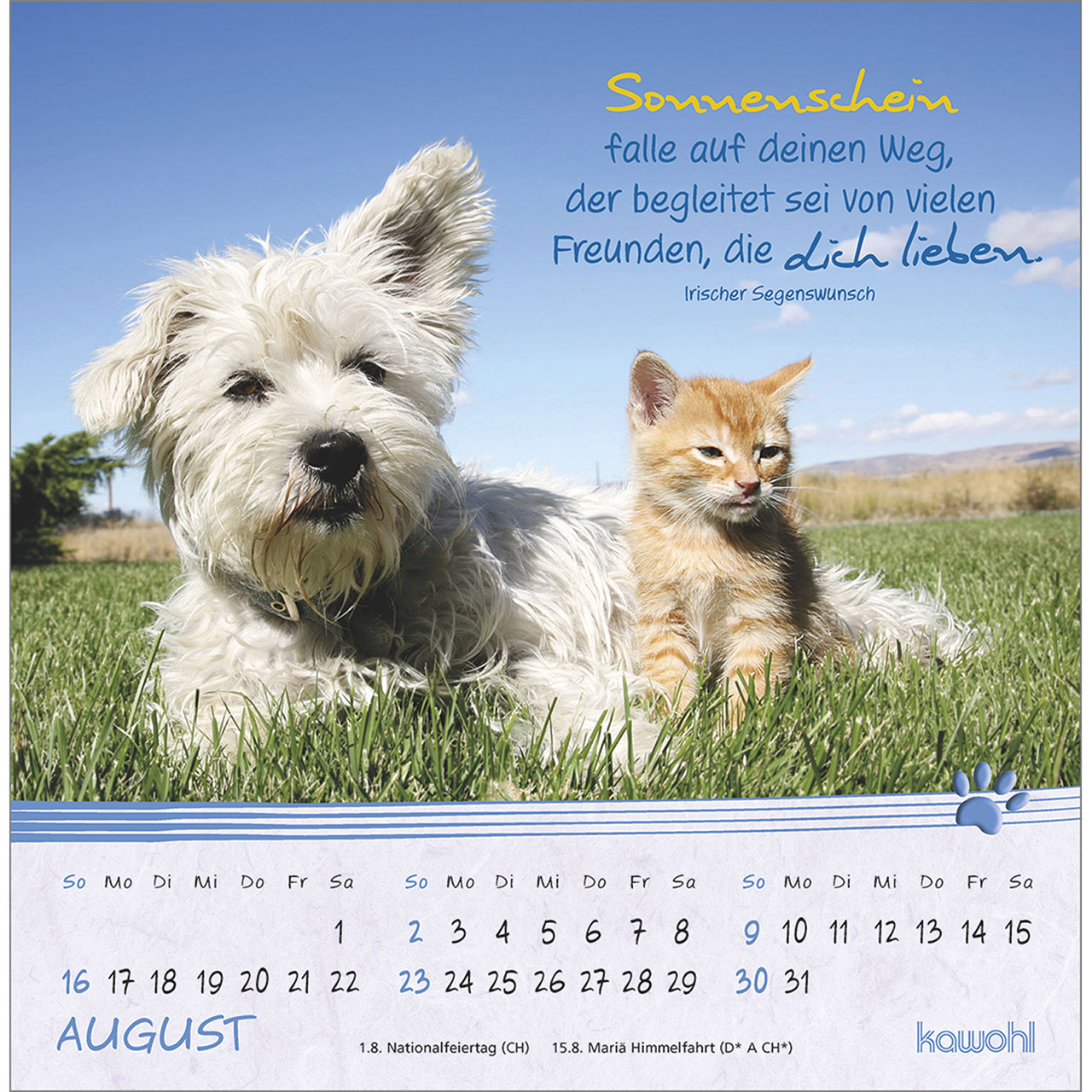 Postkartenkalender - Kleine Katzen-Tatzen 2026