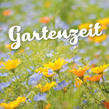 Bunte Blumenwiese mit gelben und blauen Blüten im Hintergrund. Text: Gartenzeit