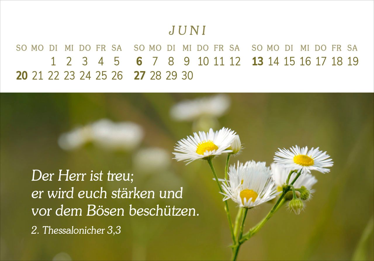 Panoramakalender - Das Geschenk der Freude 2027