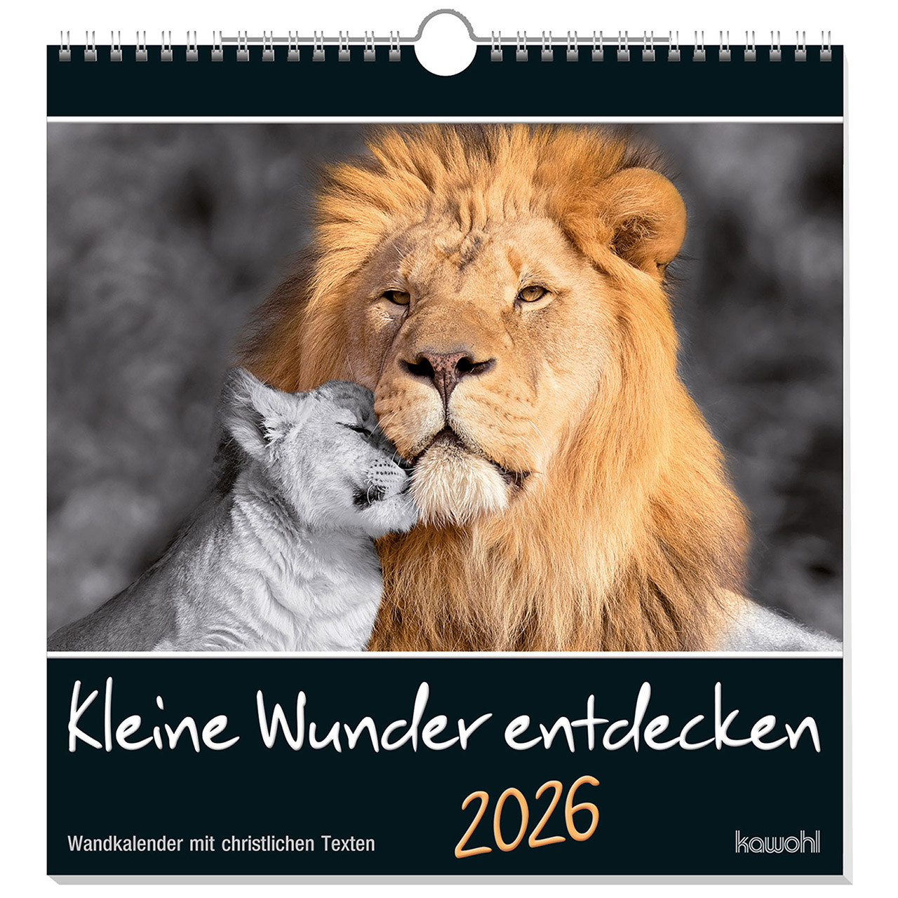 Kleine Wunder entdecken 2026 Wandkalender - Kleine Wunder entdecken 2026