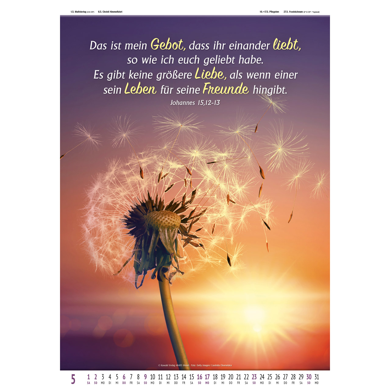 Wandkalender - Gottes Wort - Licht auf dem Weg 2027