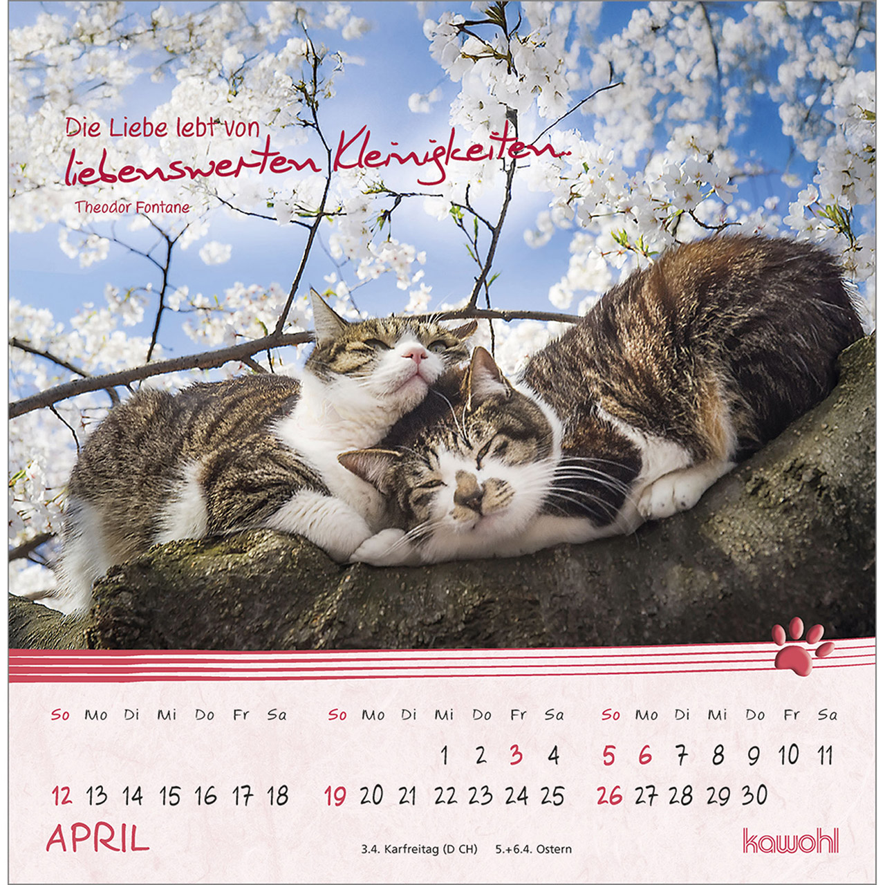 Postkartenkalender - Kleine Katzen-Tatzen 2026
