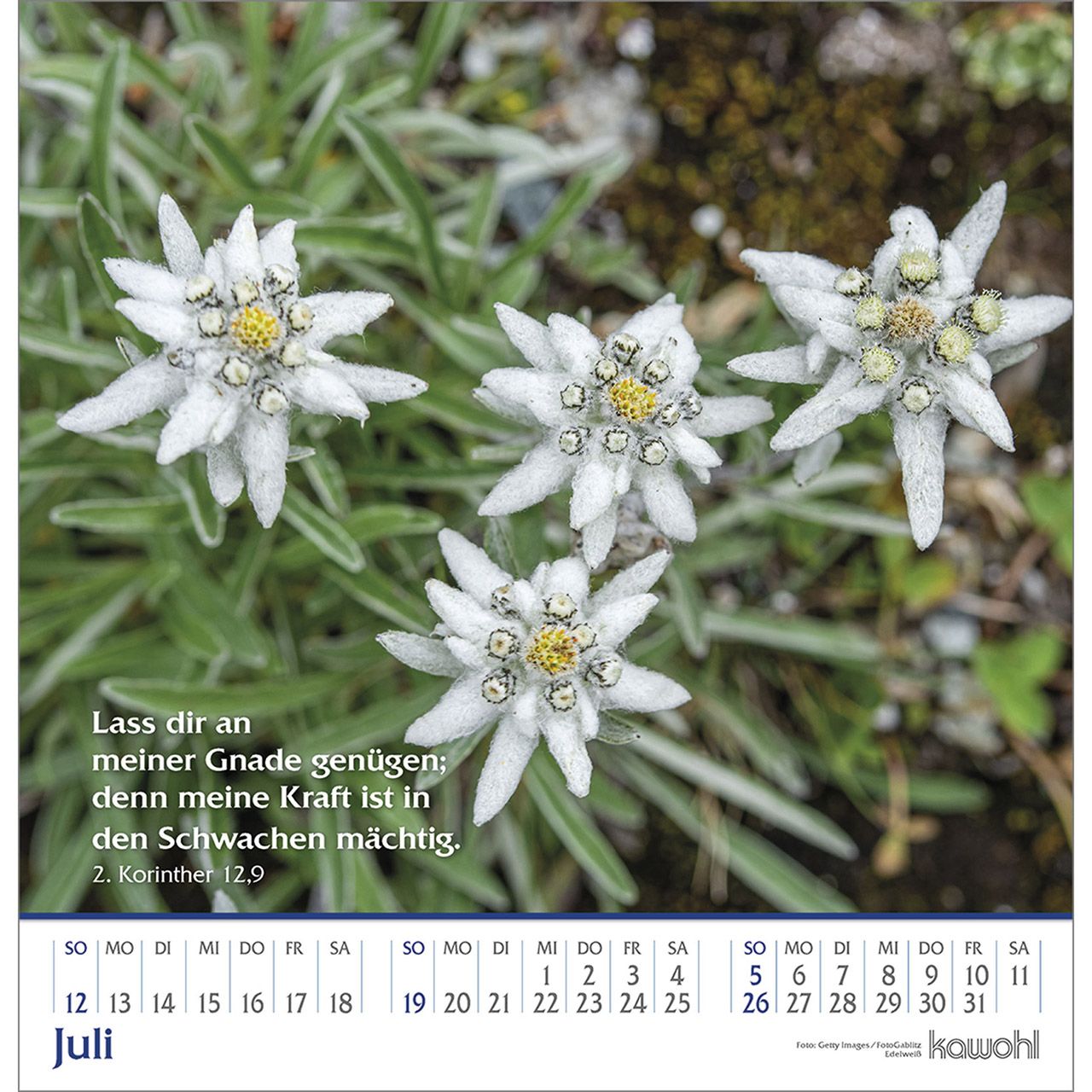 Wandkalender - Glanz der Berge 2026