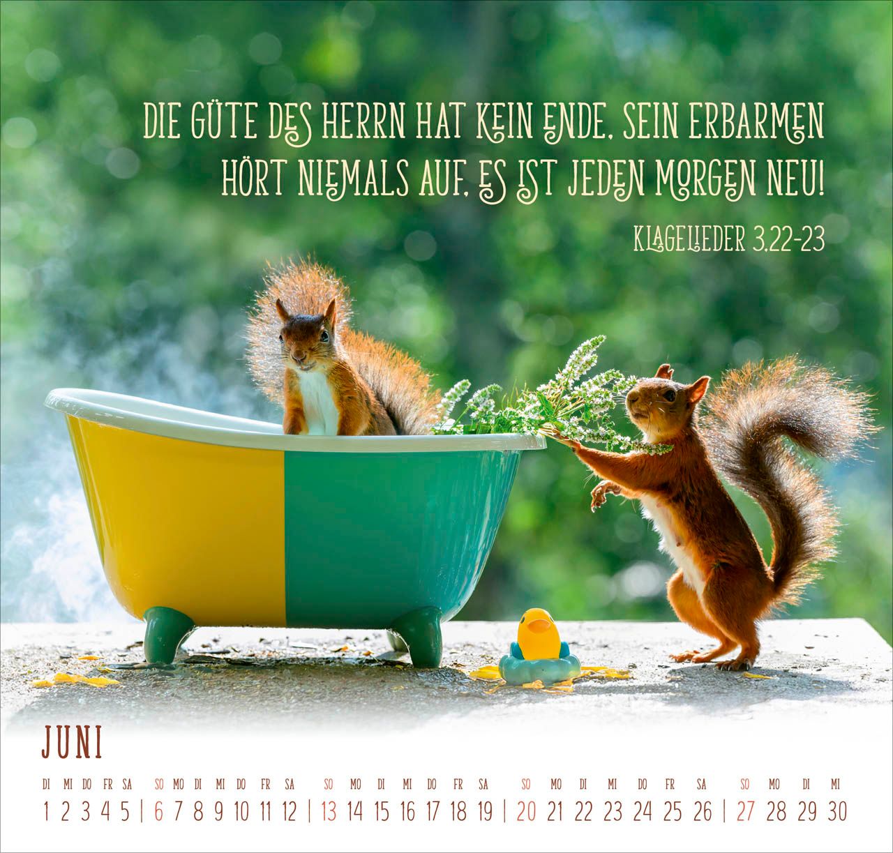 Wandkalender - Du machst mich froh 2027