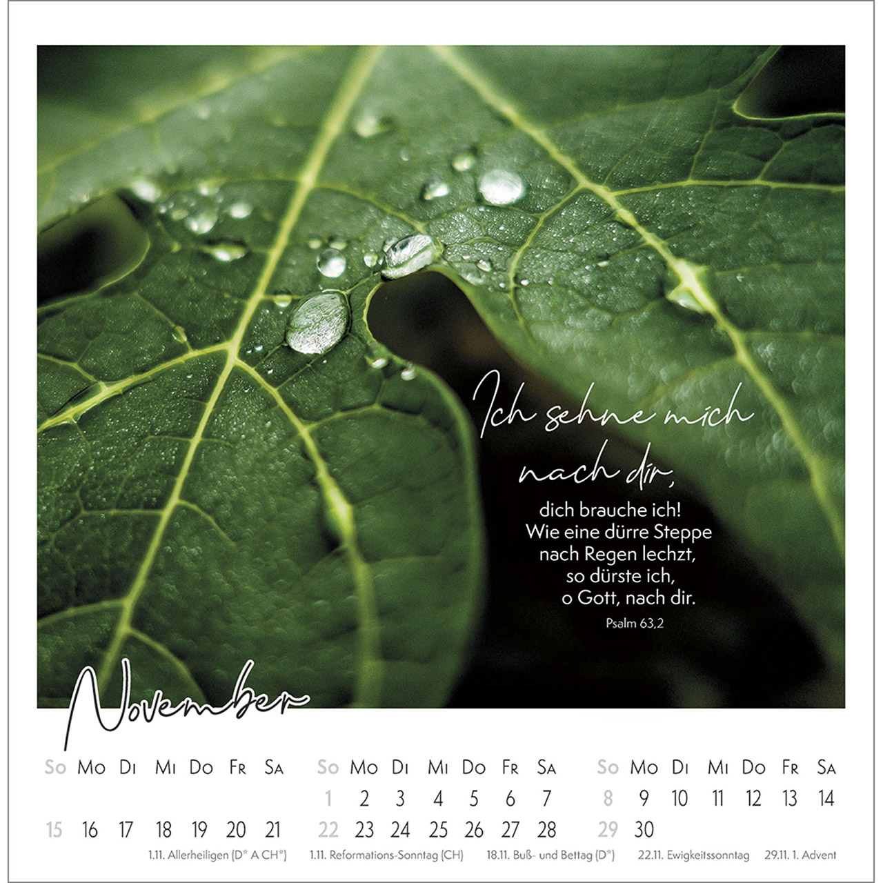 Postkartenkalender - Kleine Auszeit im Grünen 2026