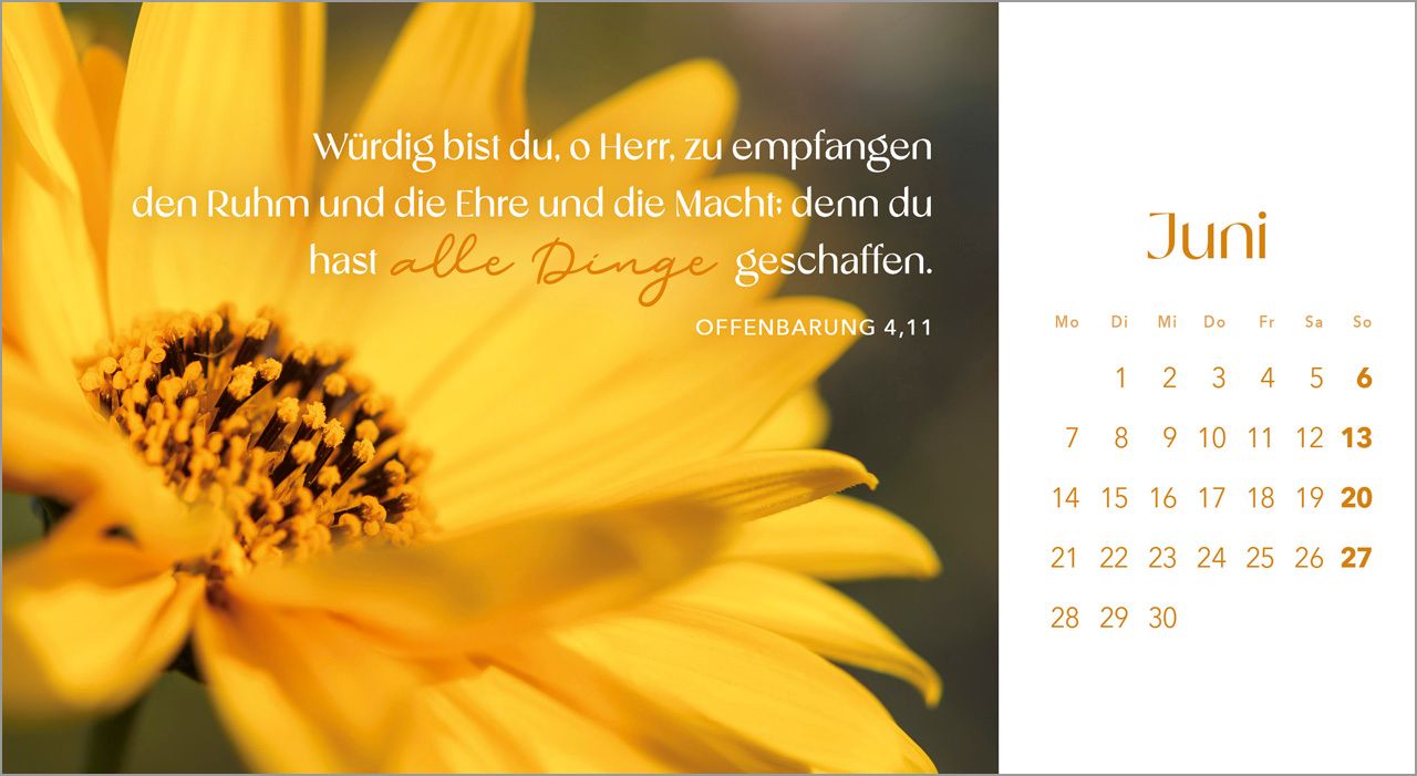 Postkartenkalender - Augenblicke der Anbetung 2027