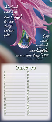 Immerwährender Kalender - Der Herr segne dich und behüte dich - Blüte im See