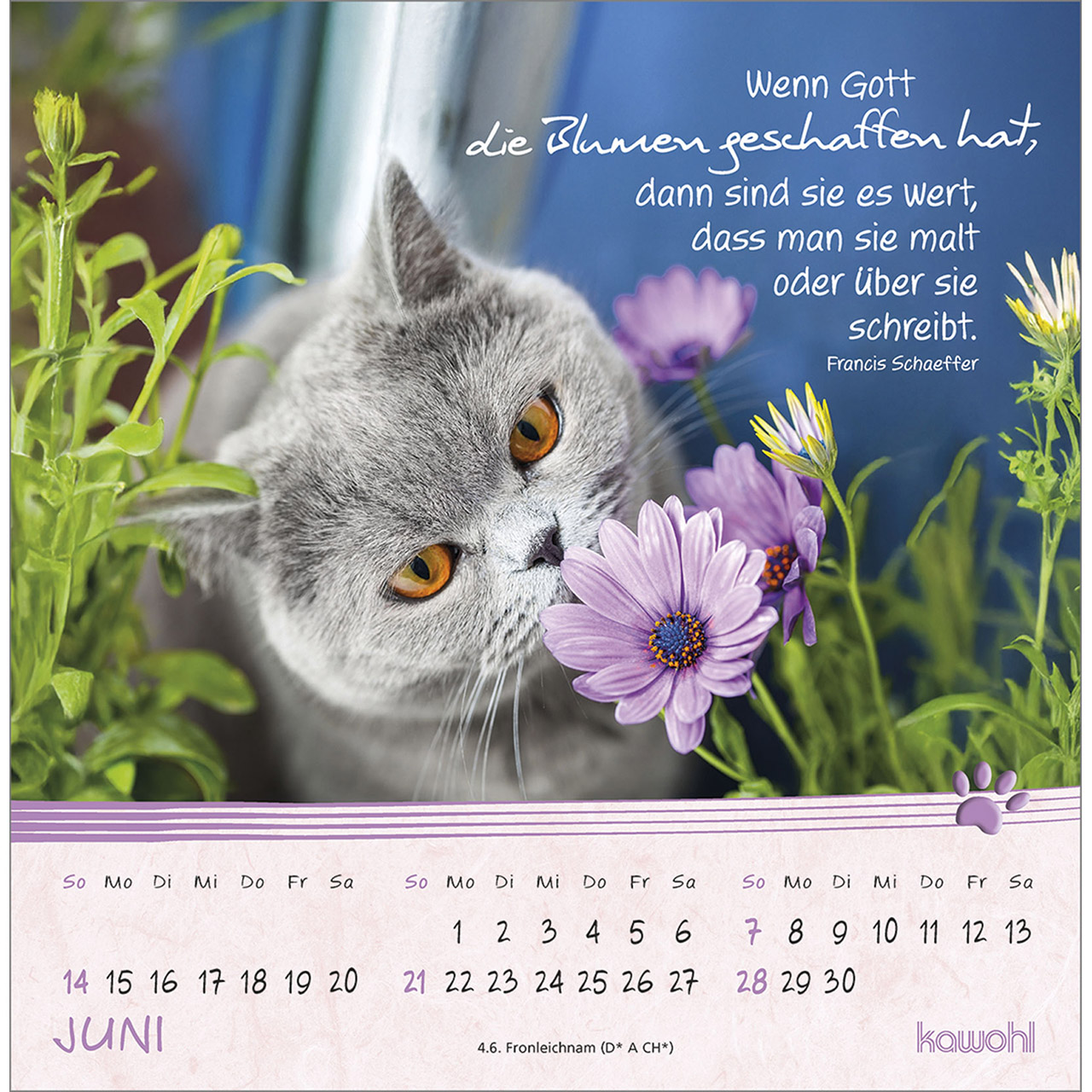Postkartenkalender - Kleine Katzen-Tatzen 2026