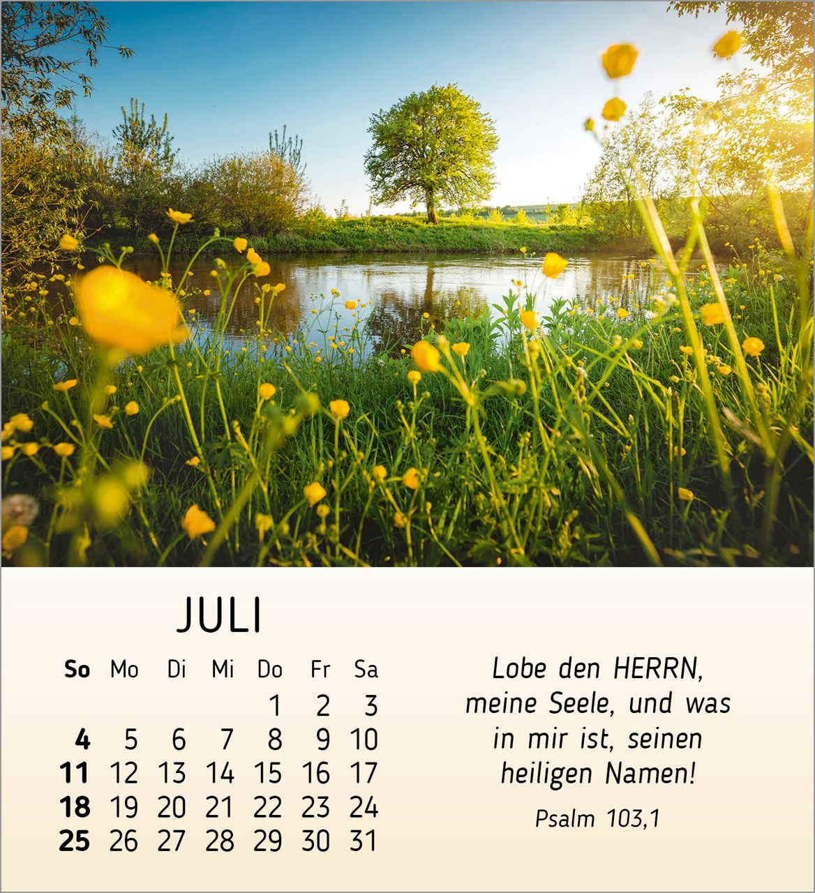 Tischkalender - Schönheit des Lichts 2027