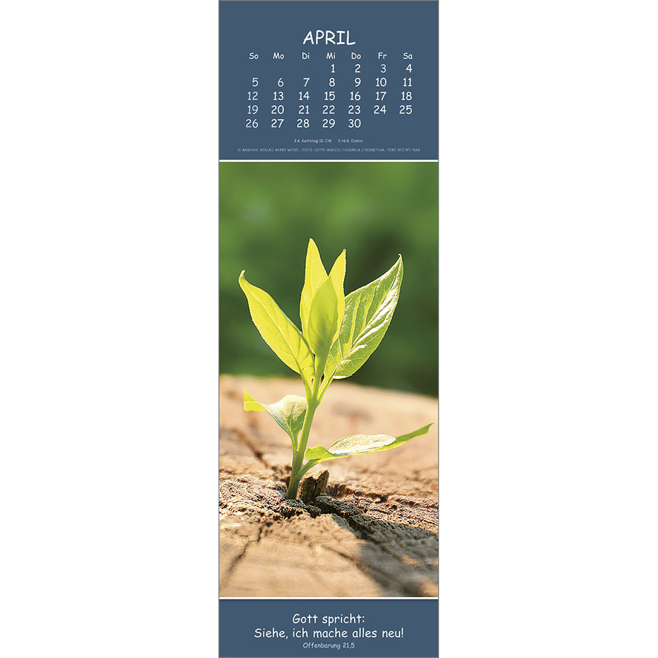 Wandkalender - Gedanken des Friedens 2026