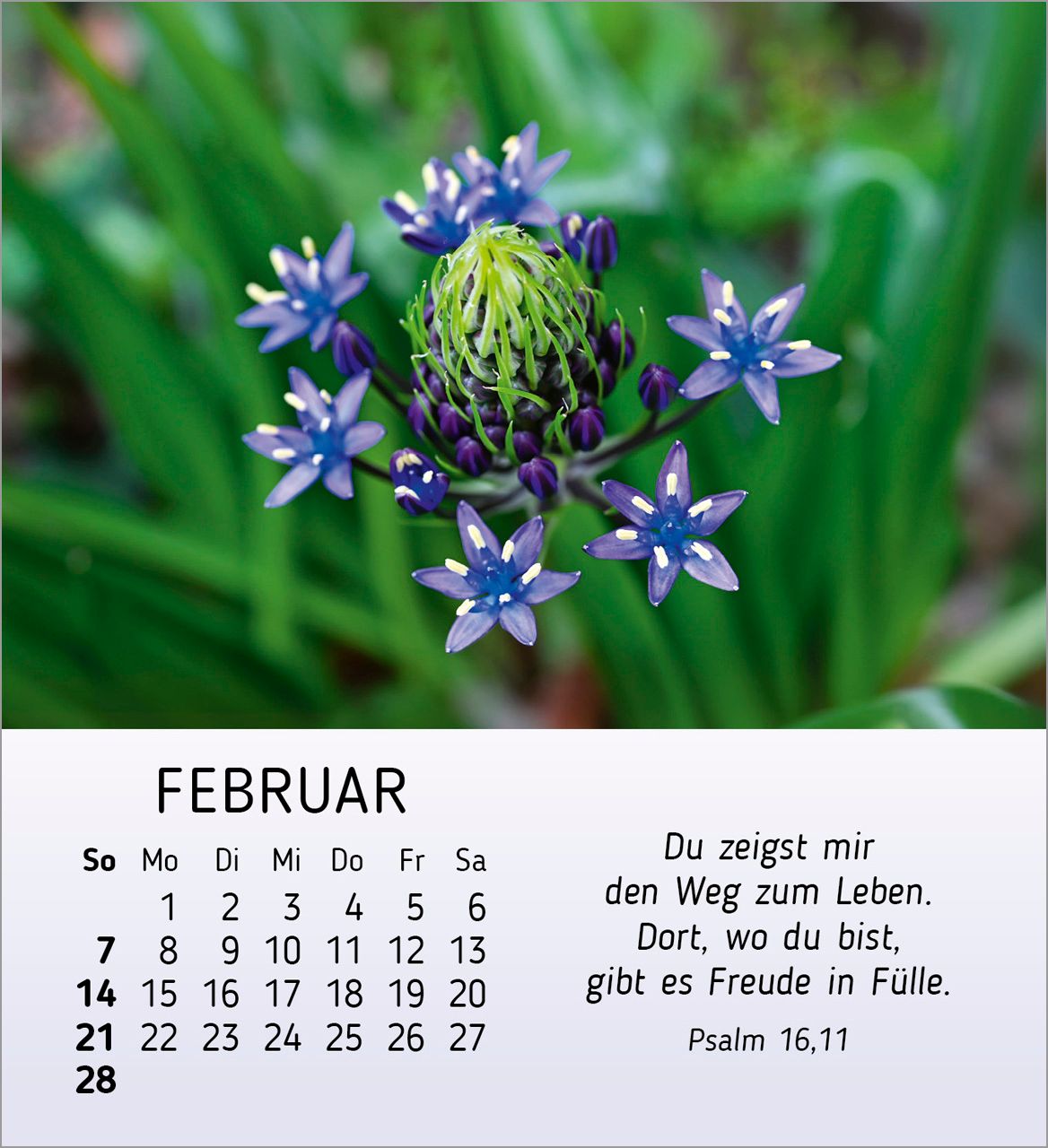 Tischkalender - Ich wünsch dir Freude 2027