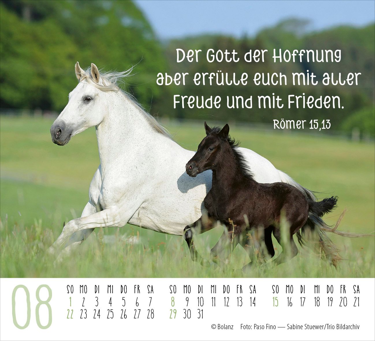 Aufstellkalender - Pferde 2027