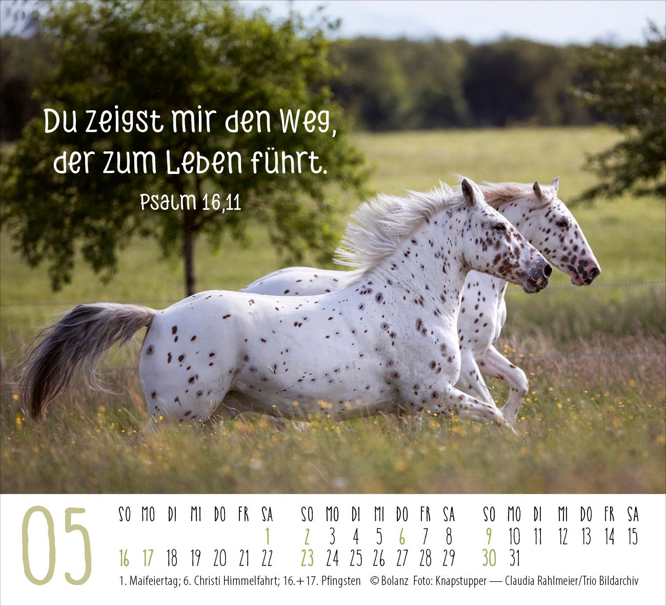 Aufstellkalender - Pferde 2027