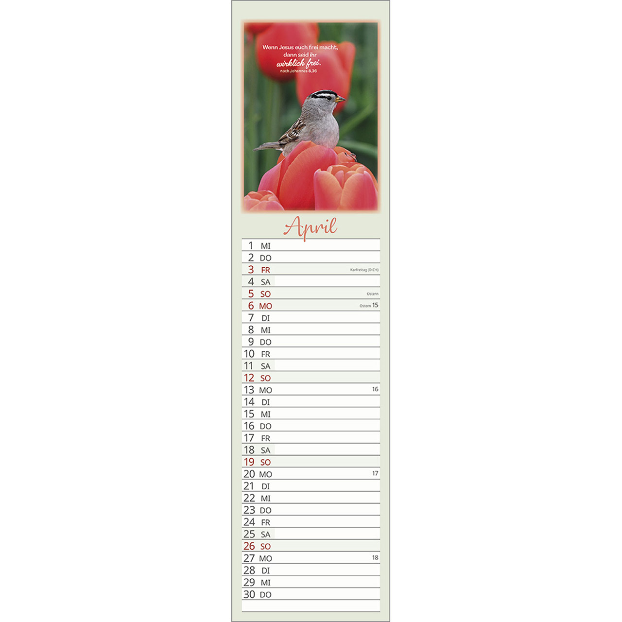 Terminkalender - Beflügelt und gehalten 2026