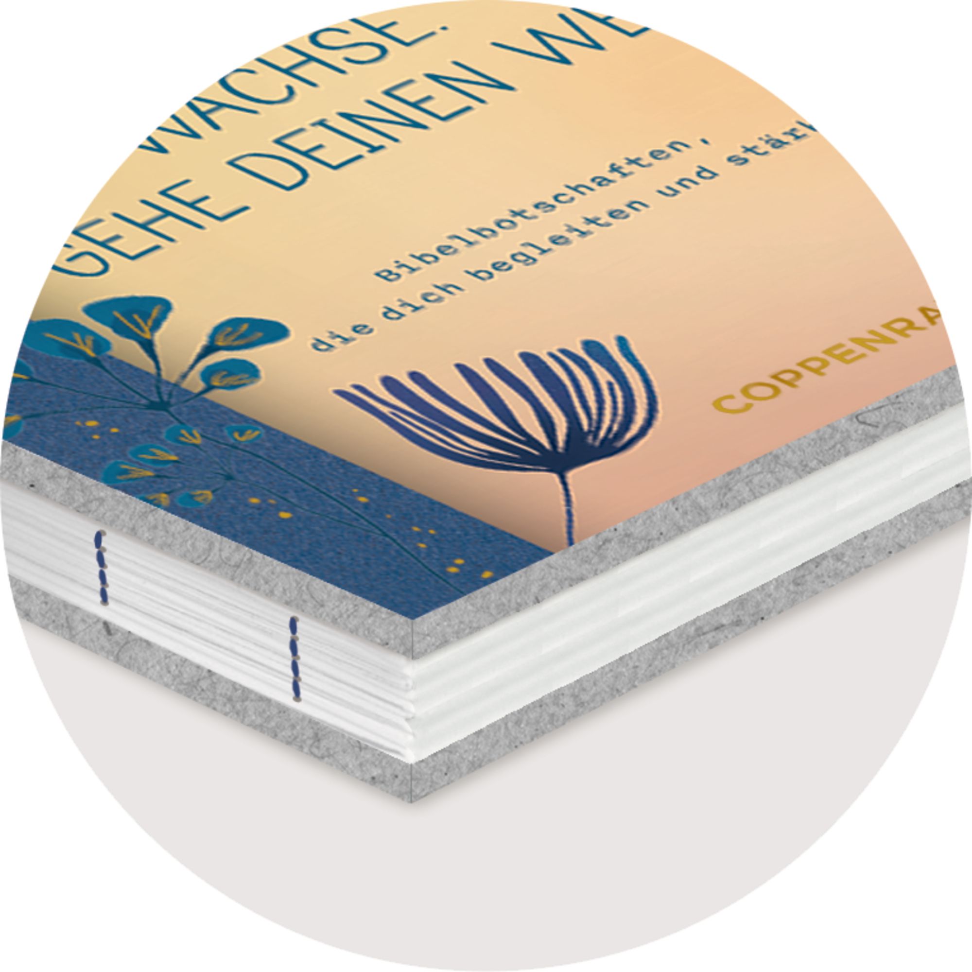 Geschenkbuch - Leuchte. Wachse. Gehe deinen Weg.
