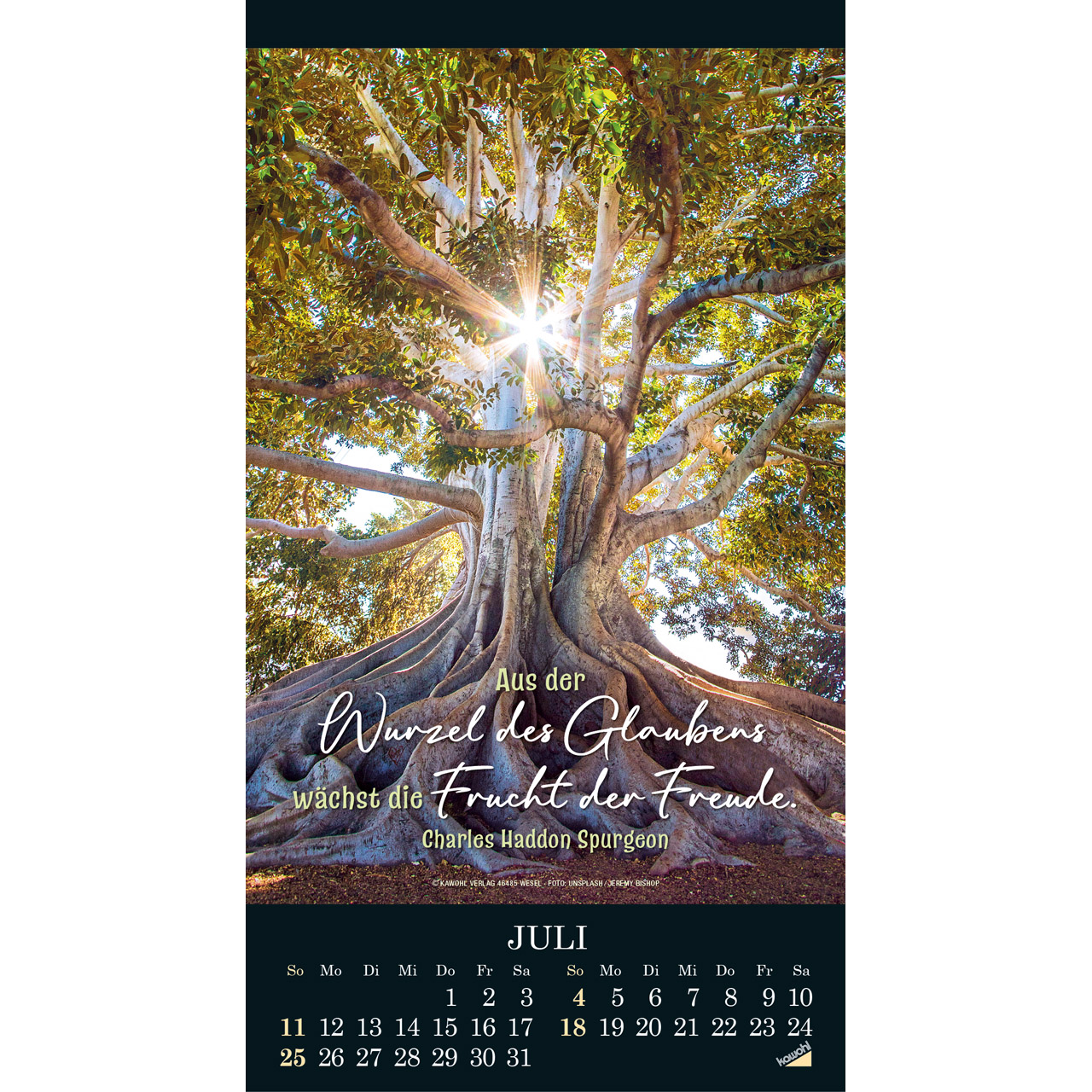 Wandkalender - Die Wunder deiner Werke 2027