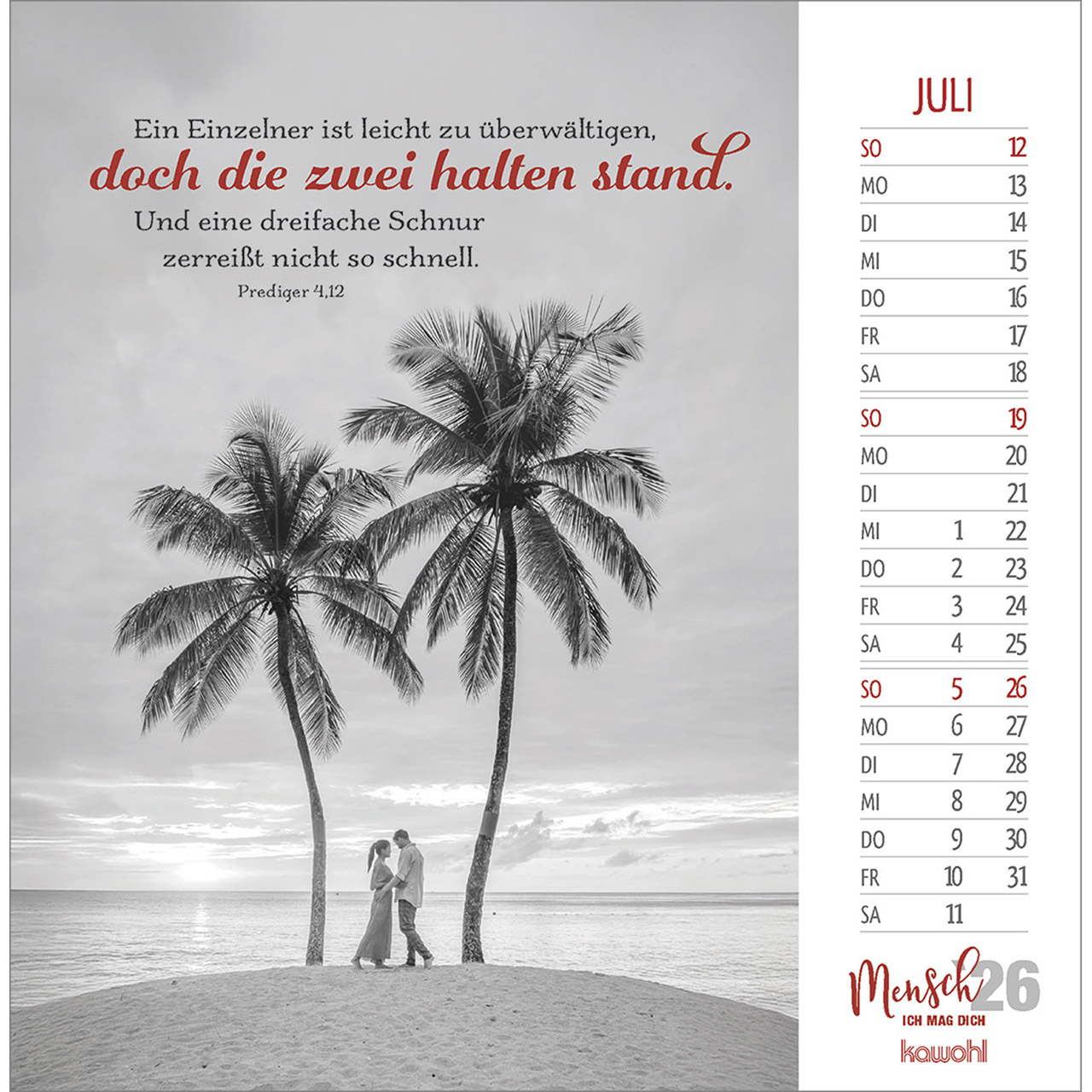 Postkartenkalender - Mensch ich mag dich 2026