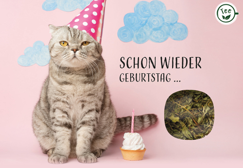 Lebensmittel-Karte - Teekarte 'Schon wieder Geburtstag...' - Katze