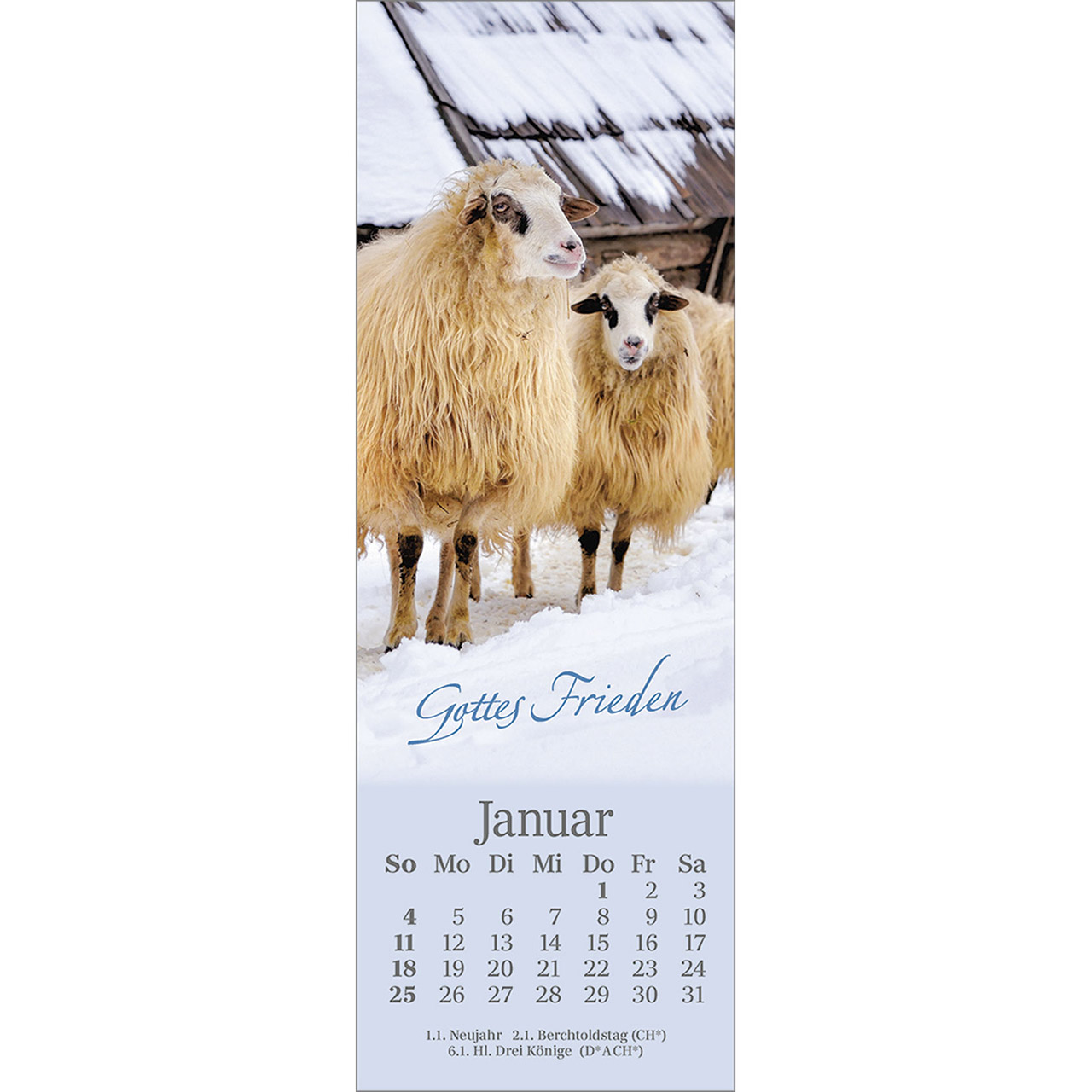 Lesezeichenkalender - Sei behütet jeden Tag 2026