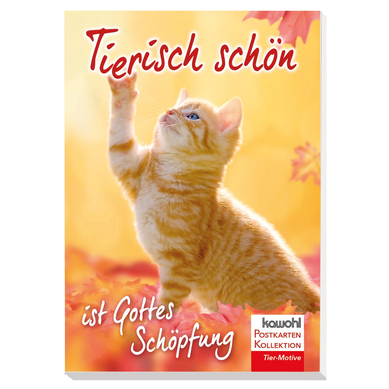 Tierisch schön ist Gottes Schöpfung