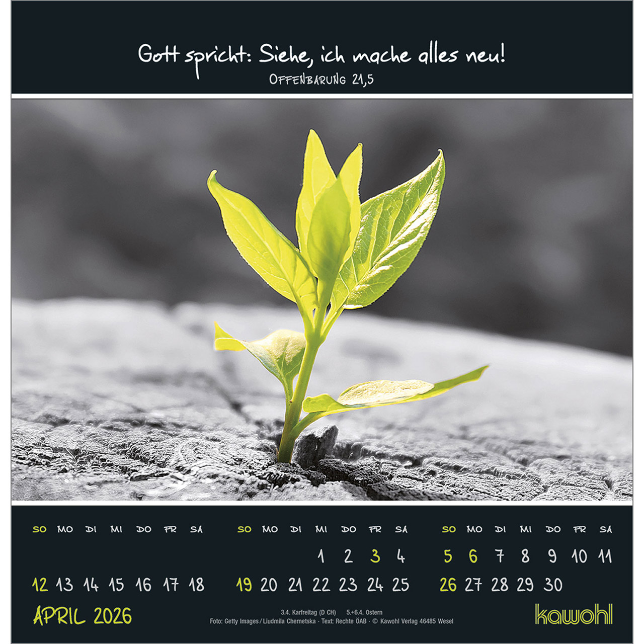 Wandkalender - Kleine Wunder entdecken 2026