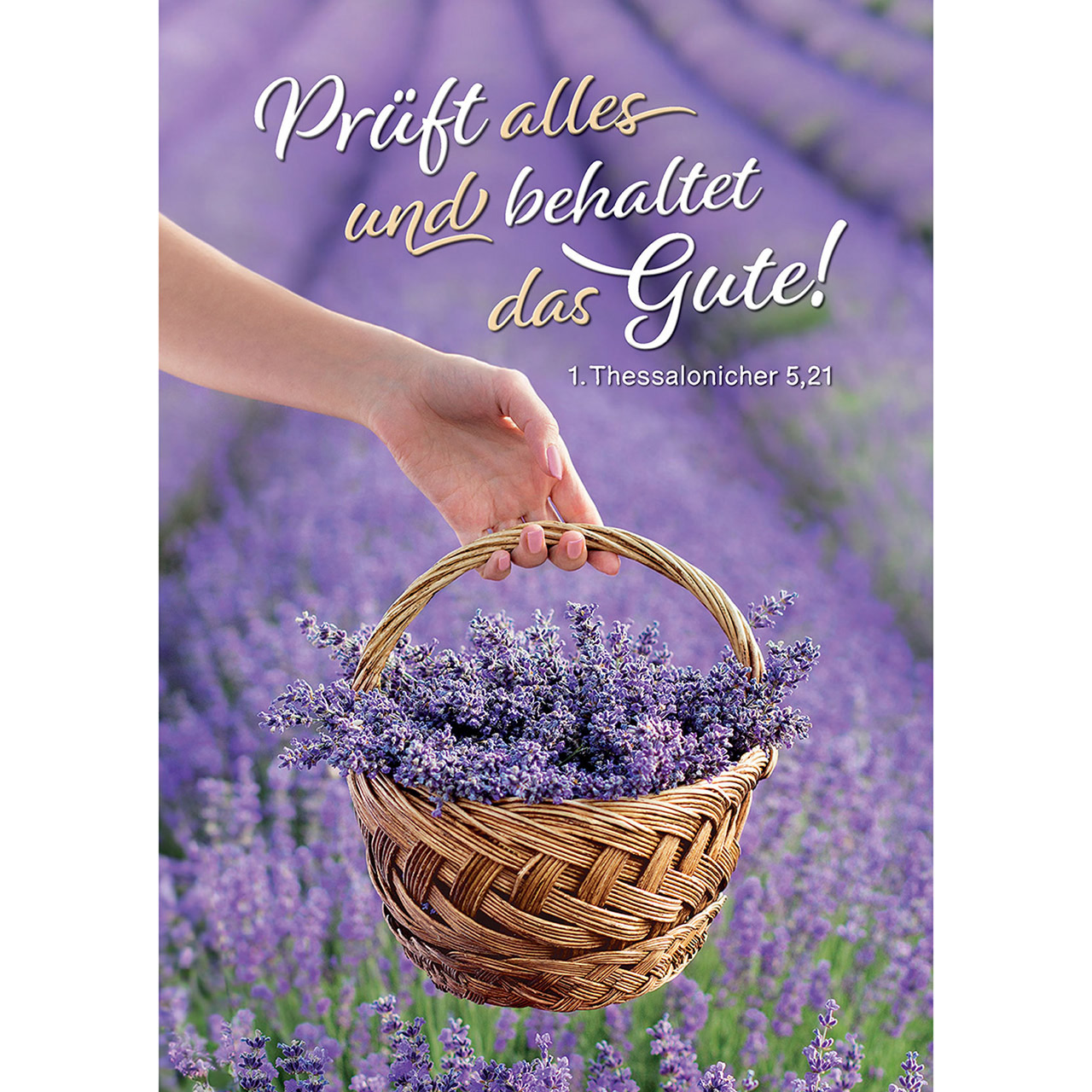 Prüft alles und behaltet das Gute! Prüft alles und behaltet das Gute!