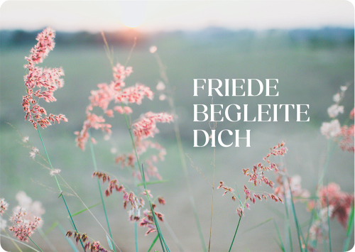 Postkarte - Postkarte 'Friede begleite dich' - Blumen