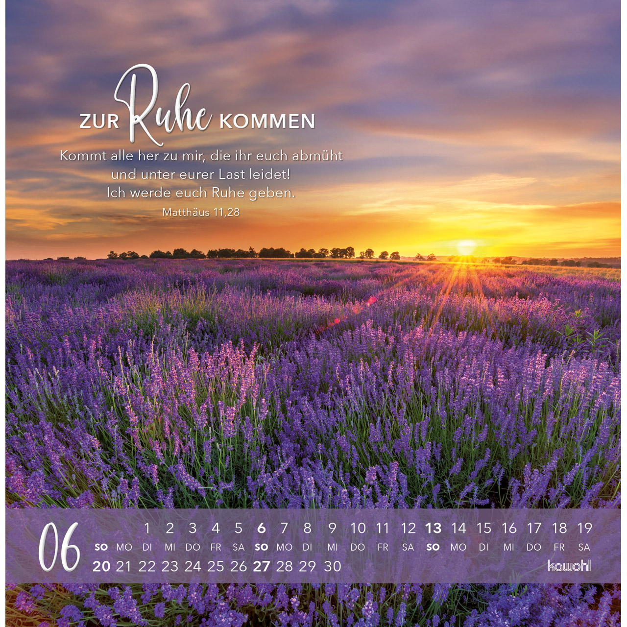 Postkartenkalender - Die Liebe bleibt bestehn 2027