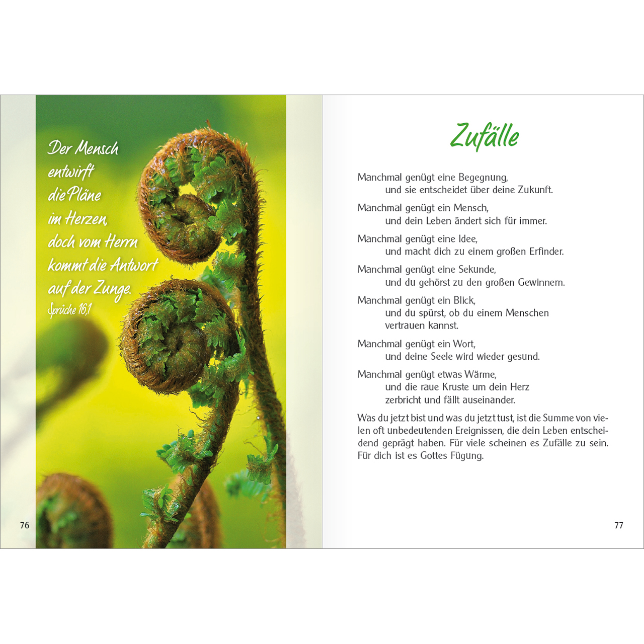 Buch - Am Brunnen - Brunnen Wasser Bäume Wiese Blumen