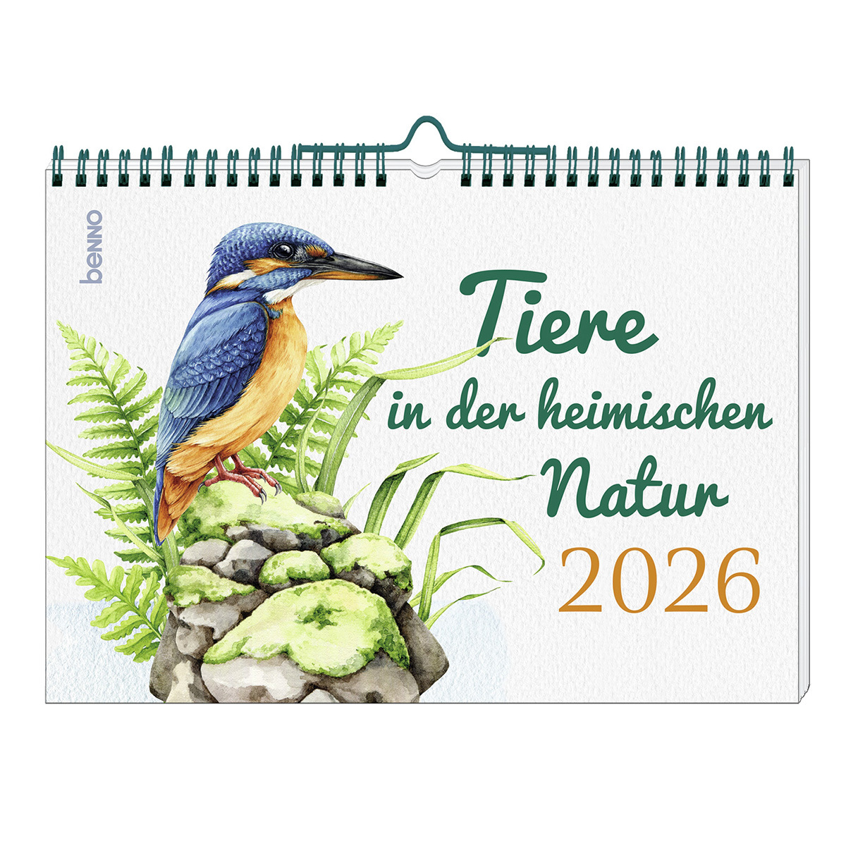 Wandkalender - Tiere in der heimischen Natur 2026 - Eisvogel Farn Gras Stein