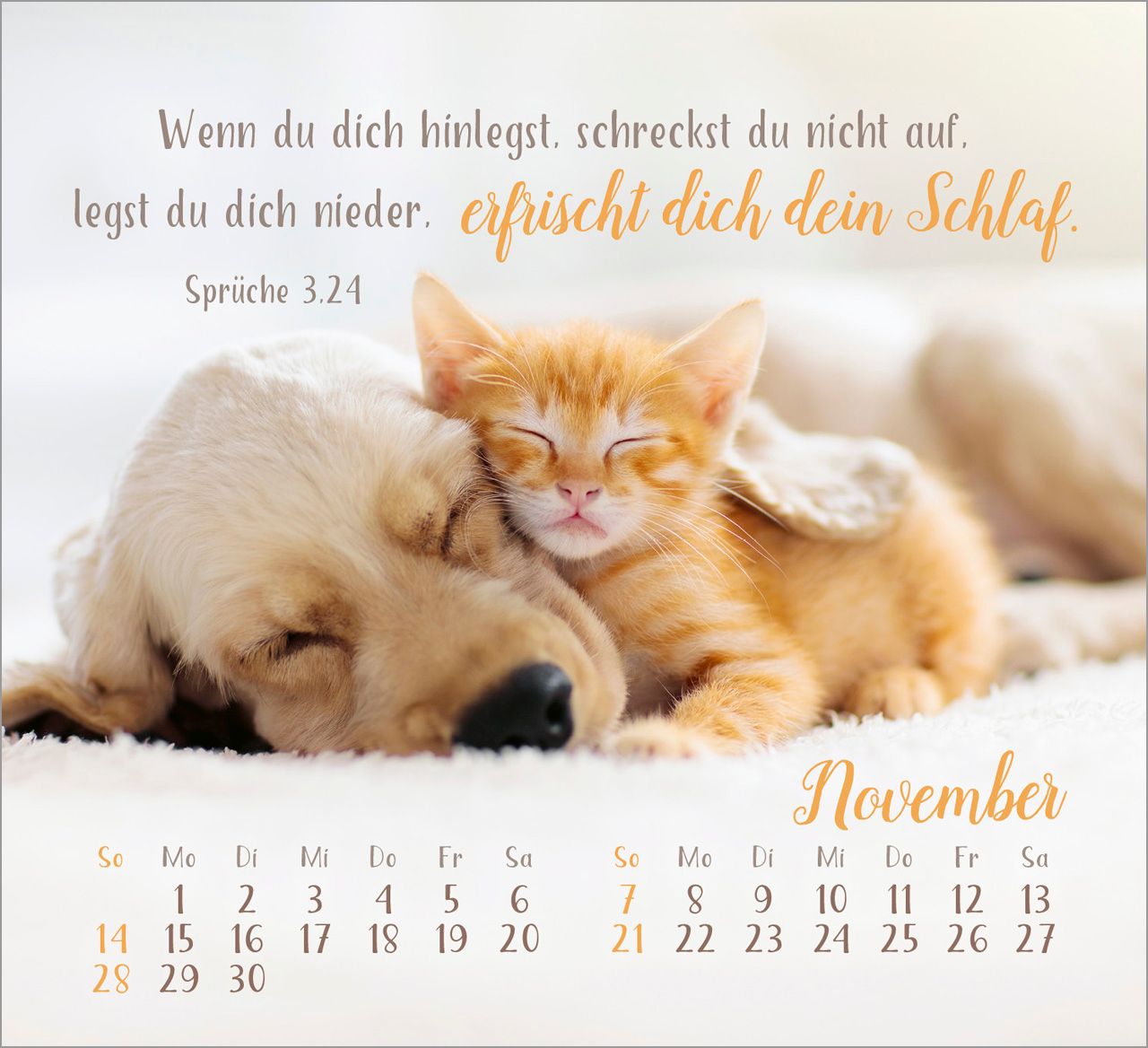 Tischkalender - Sei gesegnet! 2027