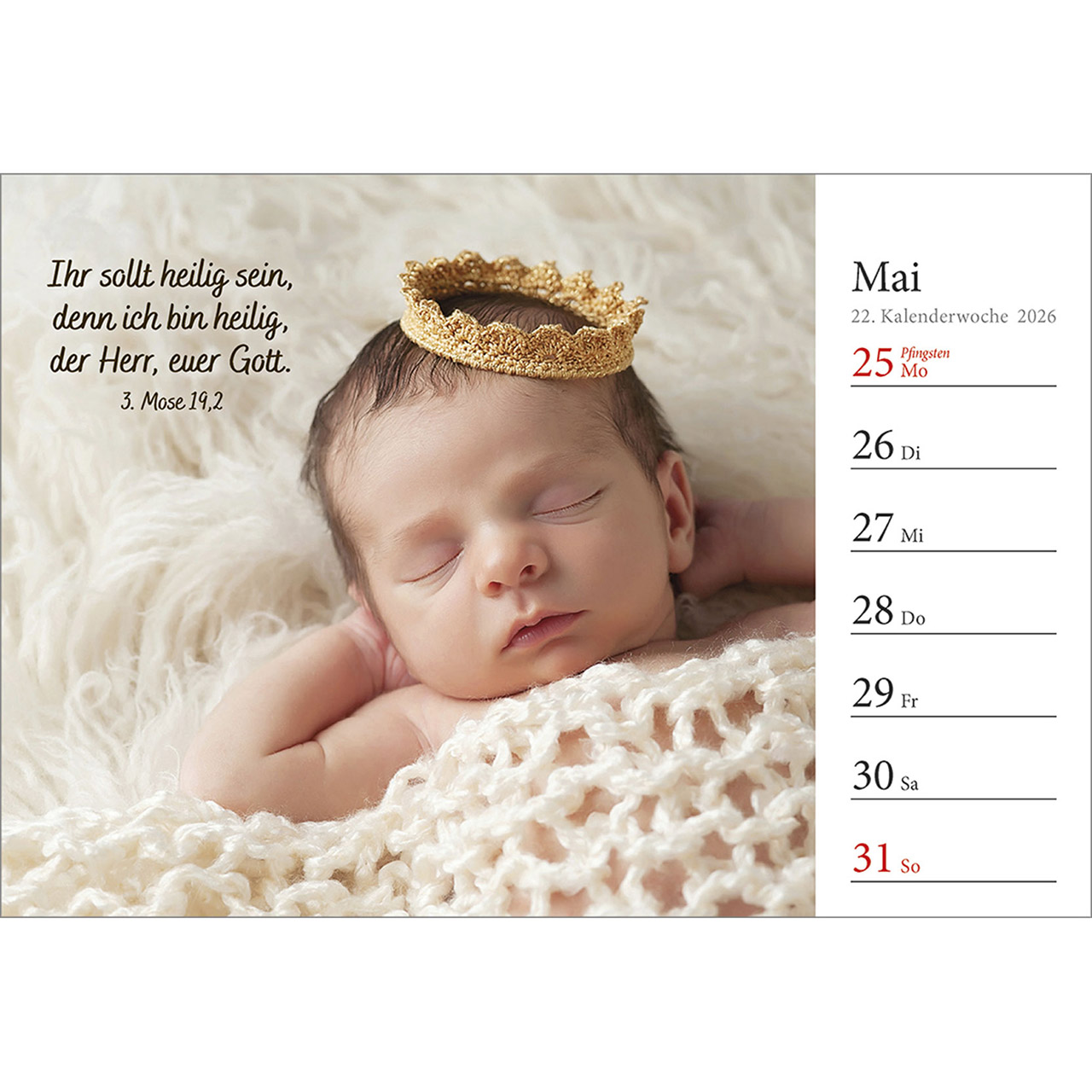 Tischkalender - In deine Hand stell ich den Tag 2026