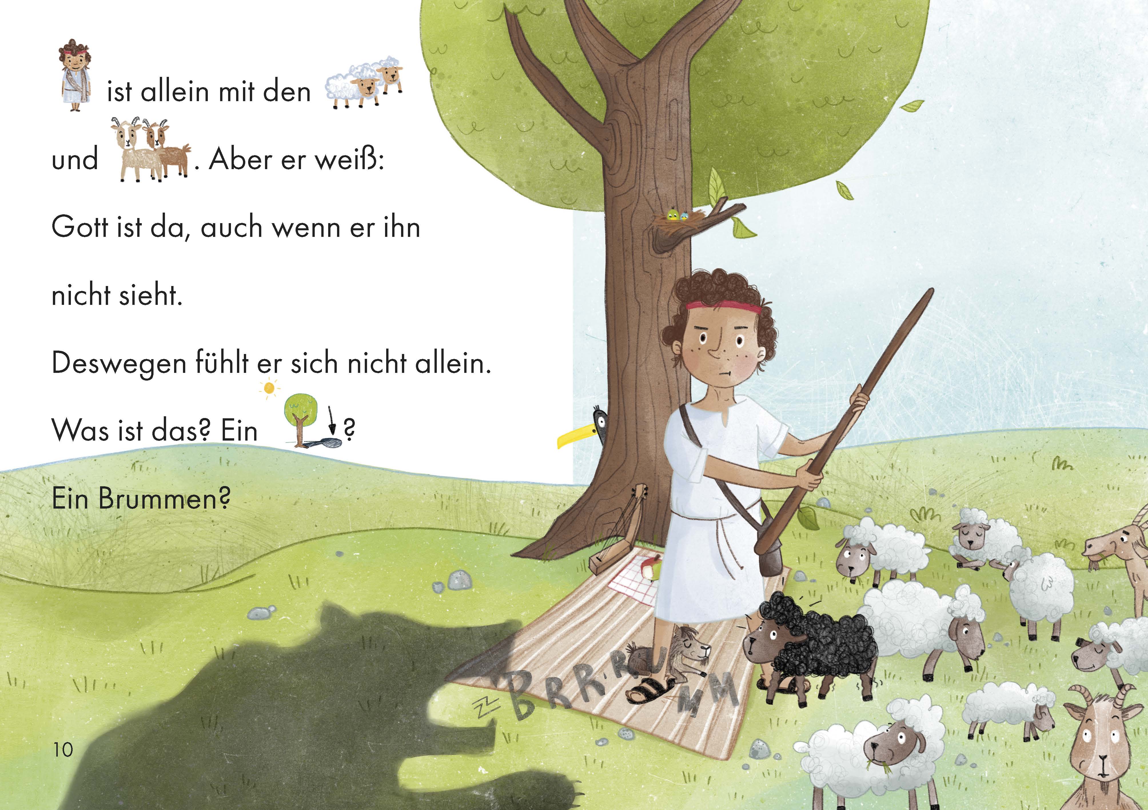Buch - David und seine Geschichte mit Gott