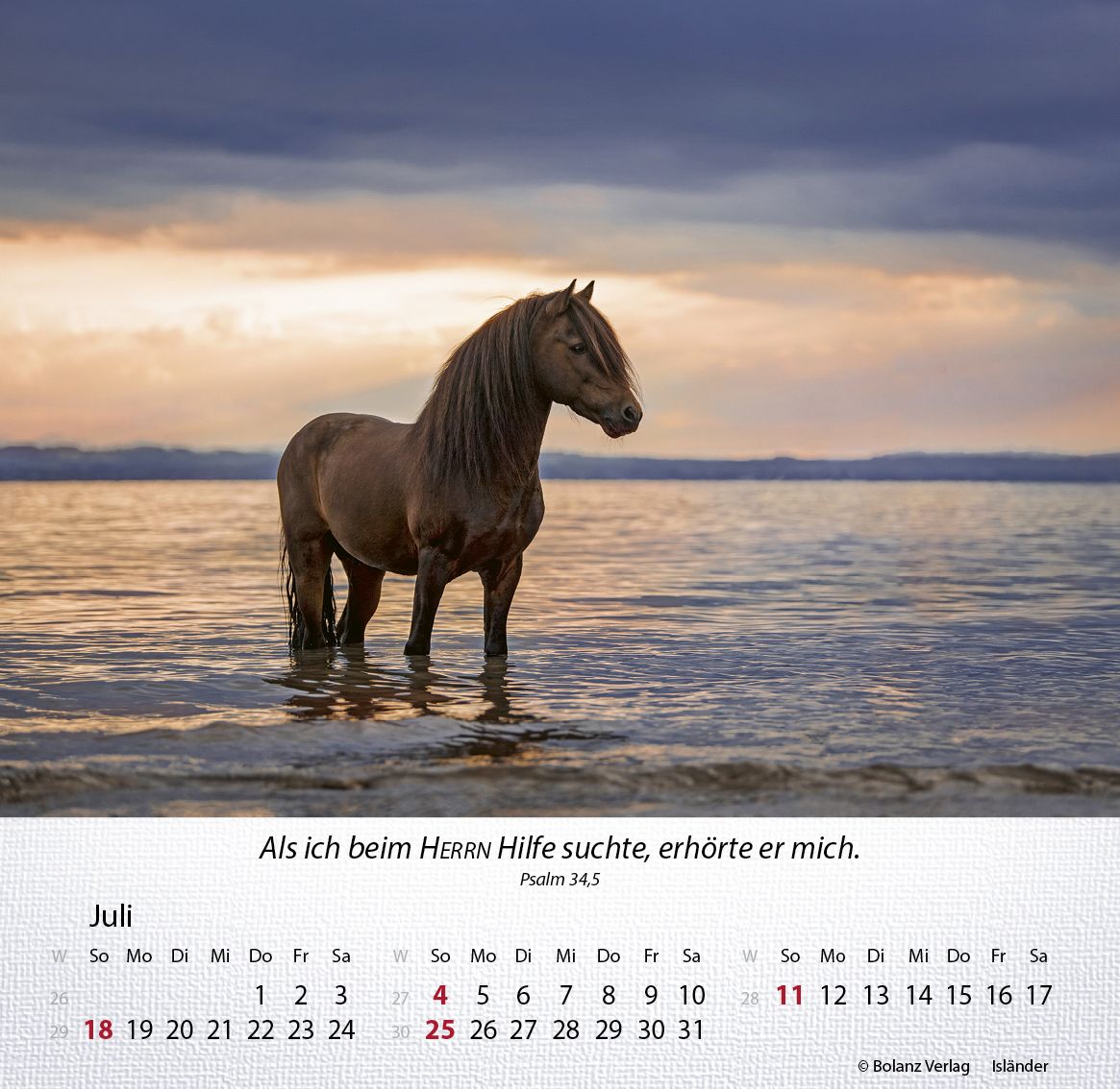 Tischkalender - Pferde 2027 Tischkalender