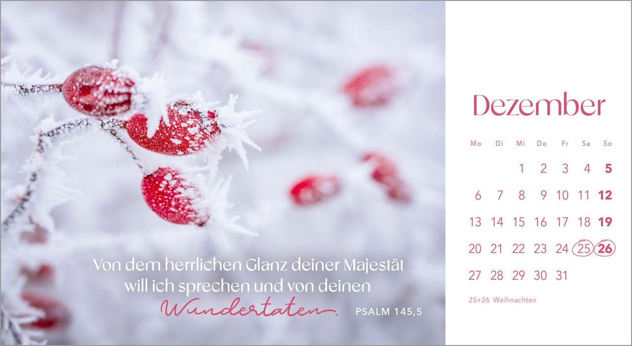 Postkartenkalender - Augenblicke der Anbetung 2027