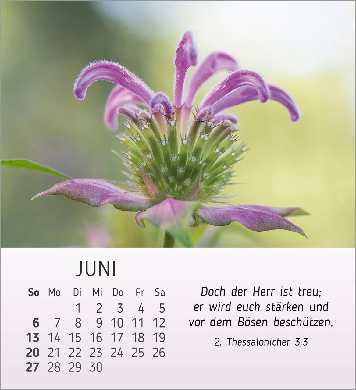 Tischkalender - Stille Begegnungen 2027