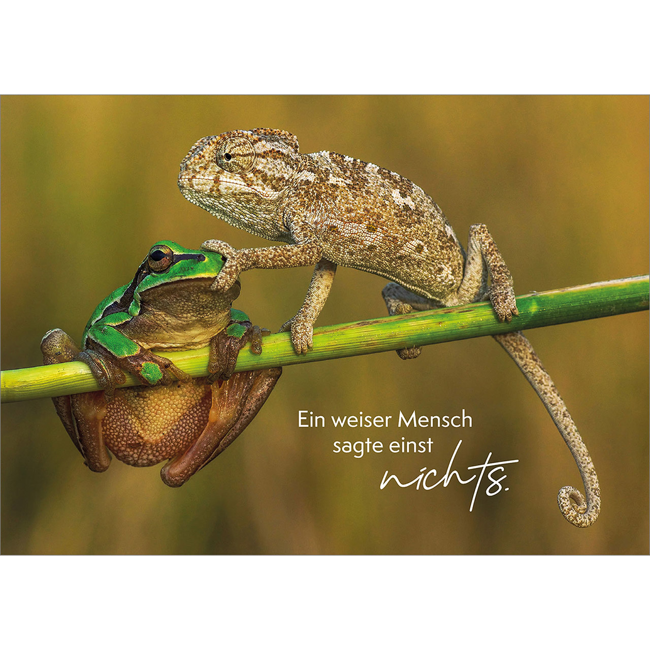 Ein weiser Mensch sagte einst - nichts. Ein weiser Mensch sagte einst - nichts.
