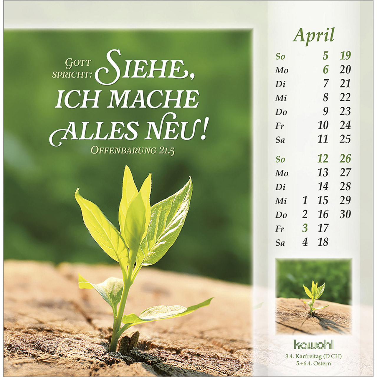Postkartenkalender - Licht vom unerschöpften Lichte 2026