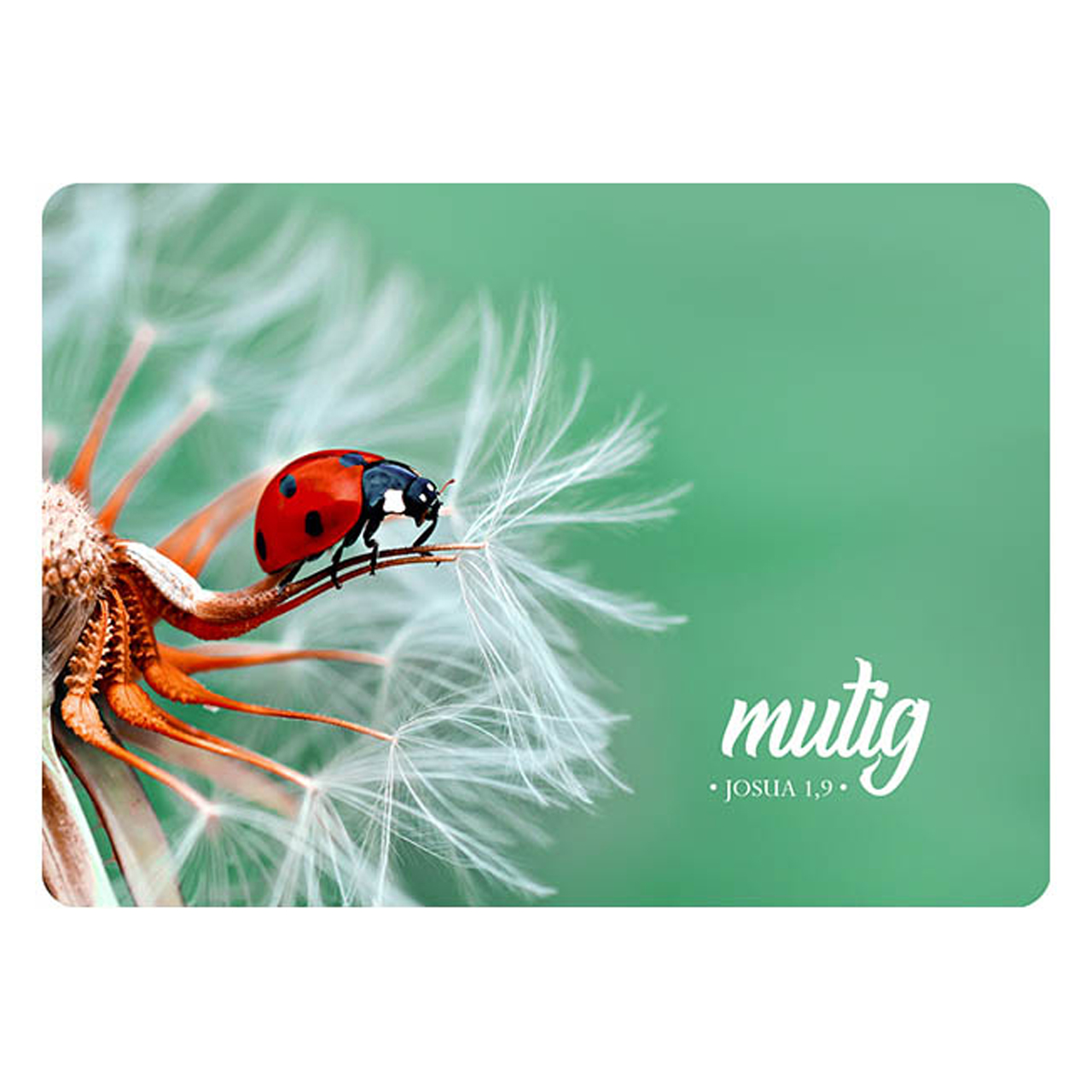 Postkarte - Postkarte 'mutig' 1EX - Marienkäfer Pusteblume