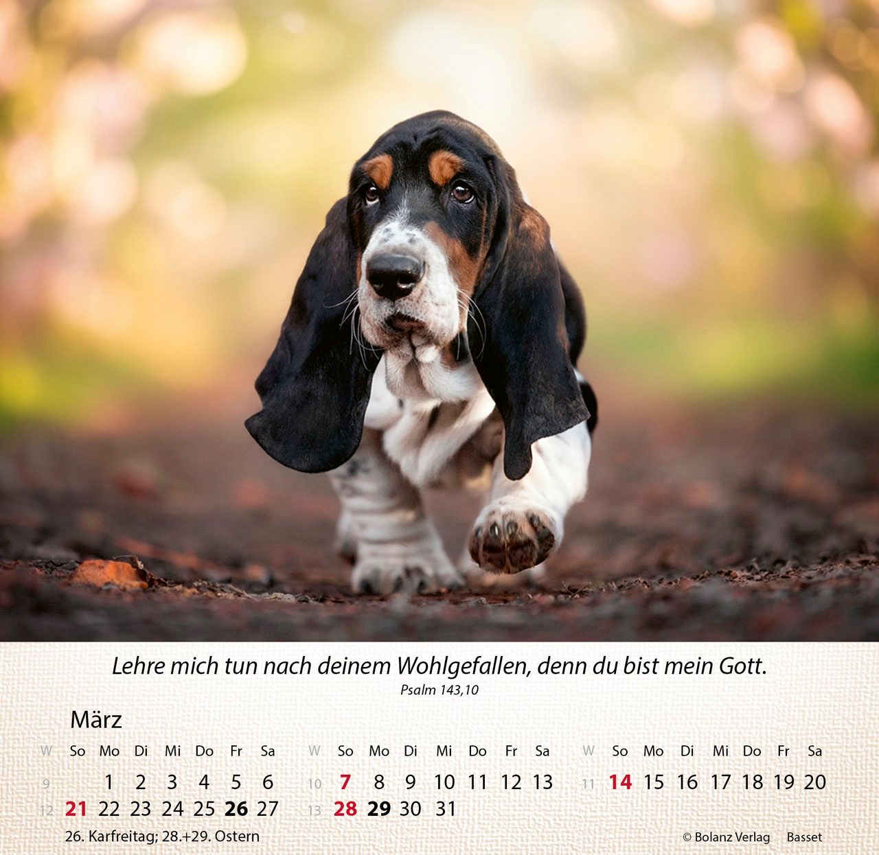 Tischkalender - Hunde 2027 Tischkalender