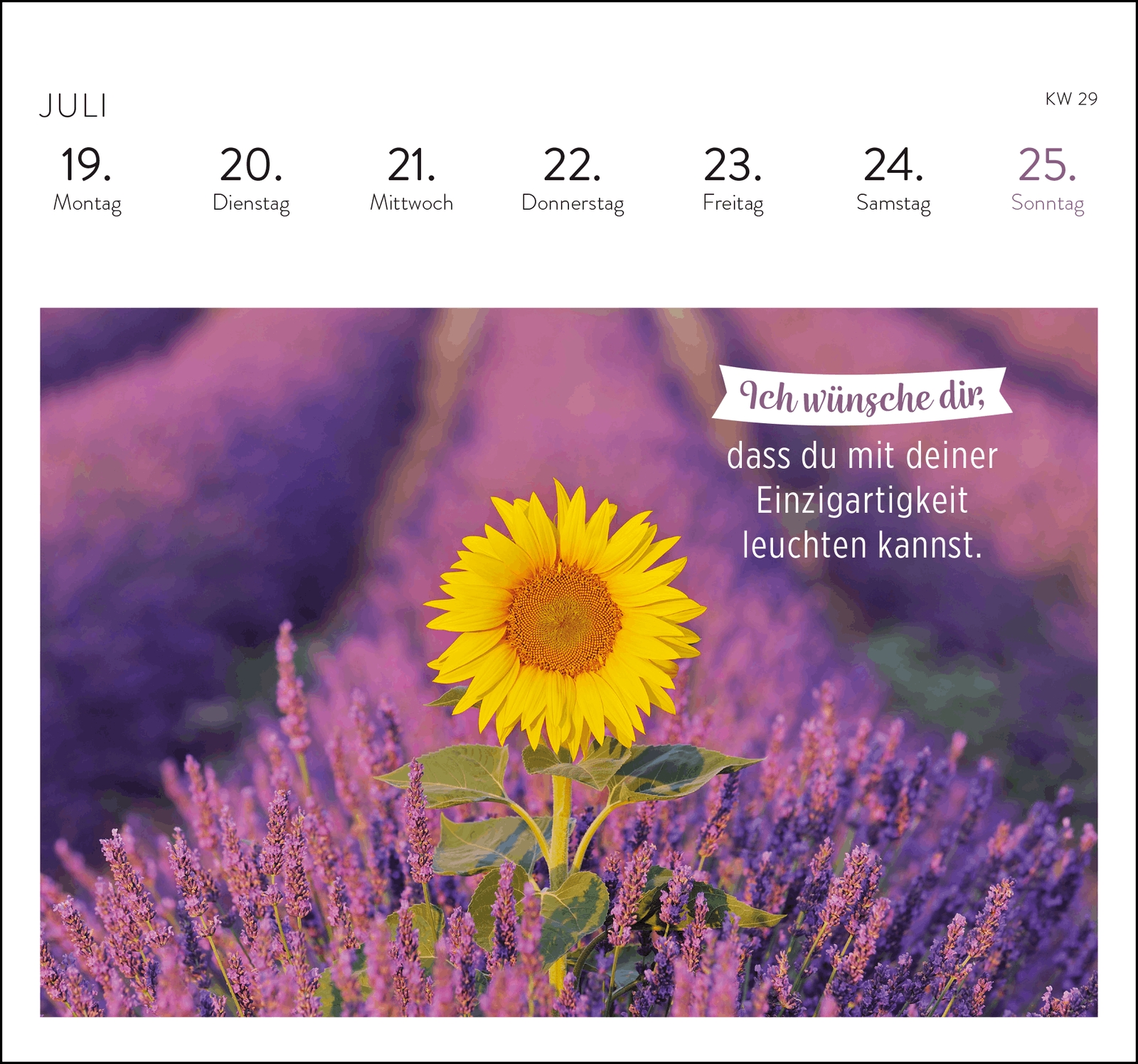 Postkartenkalender - Was ich dir wünsche für jeden Tag 2027