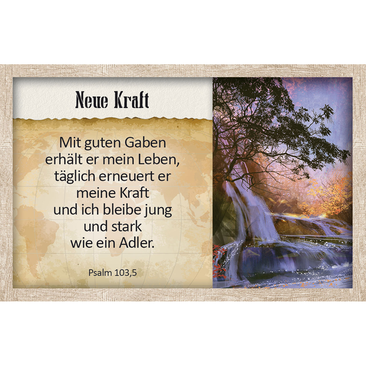 Karten-Box Kunststoff - Survival-Kit - Bretter Kiste Zelt