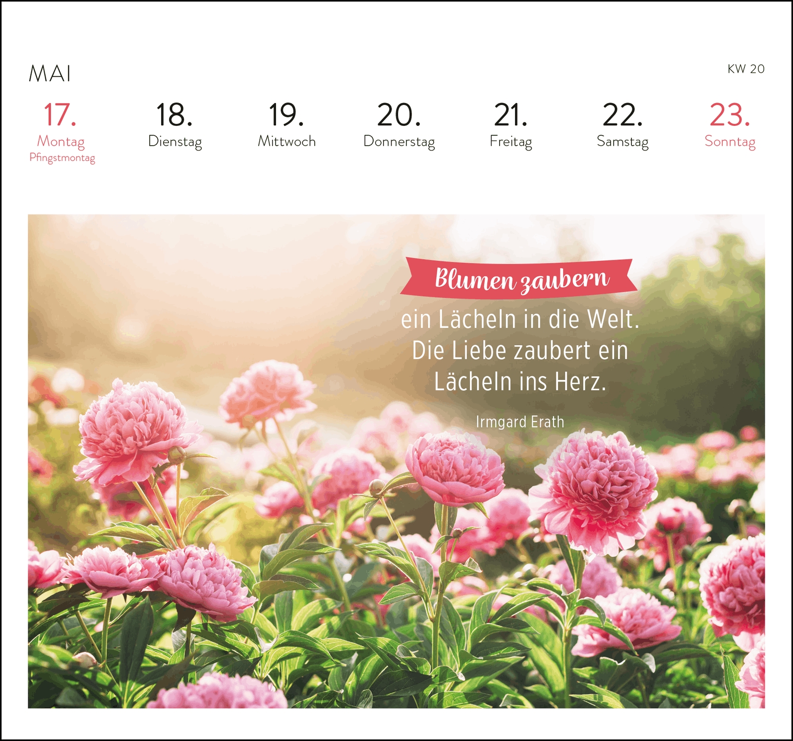Postkartenkalender - Was ich dir wünsche für jeden Tag 2027