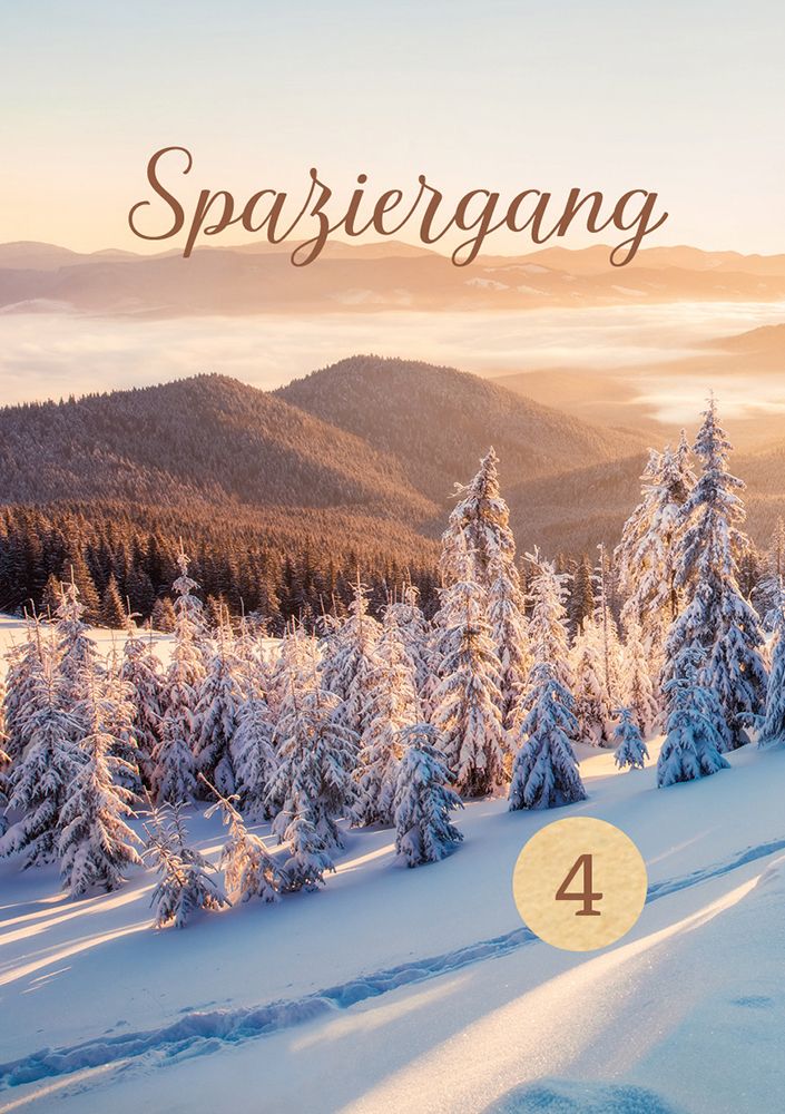 Adventskalender - 24 Lichtmomente in der Weihnachtszeit