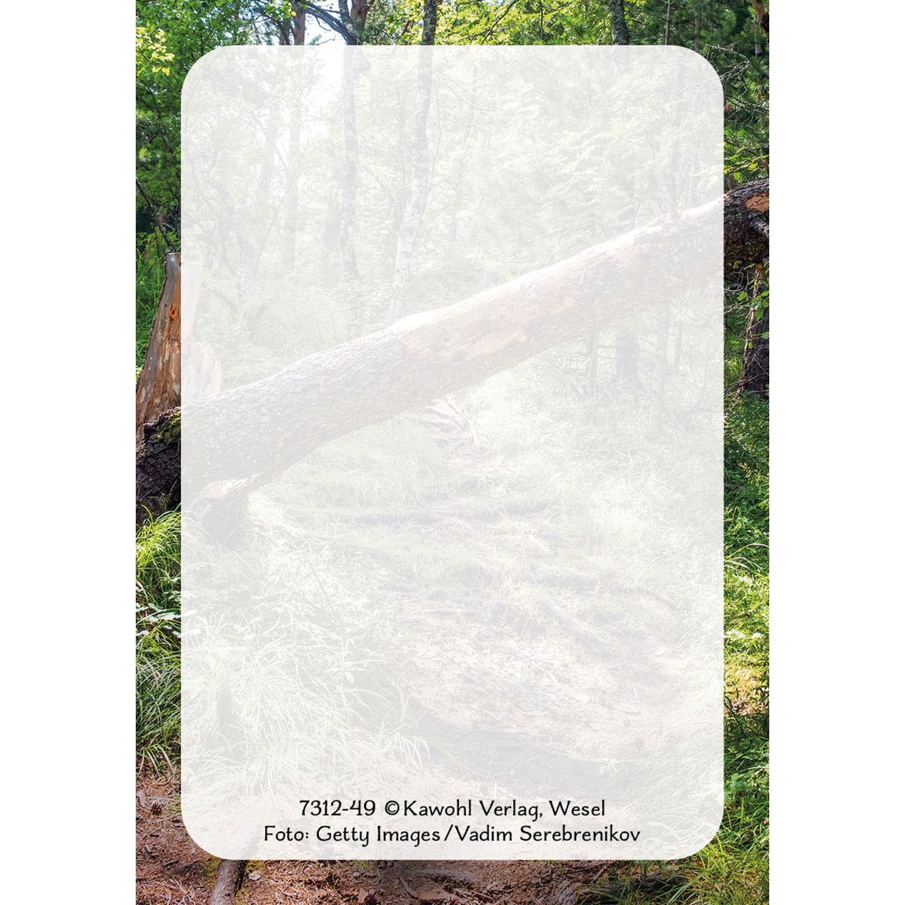 Karten-Box Papier - Gott ist mit dir - Lavendel Baum Sonne Berge Wolken