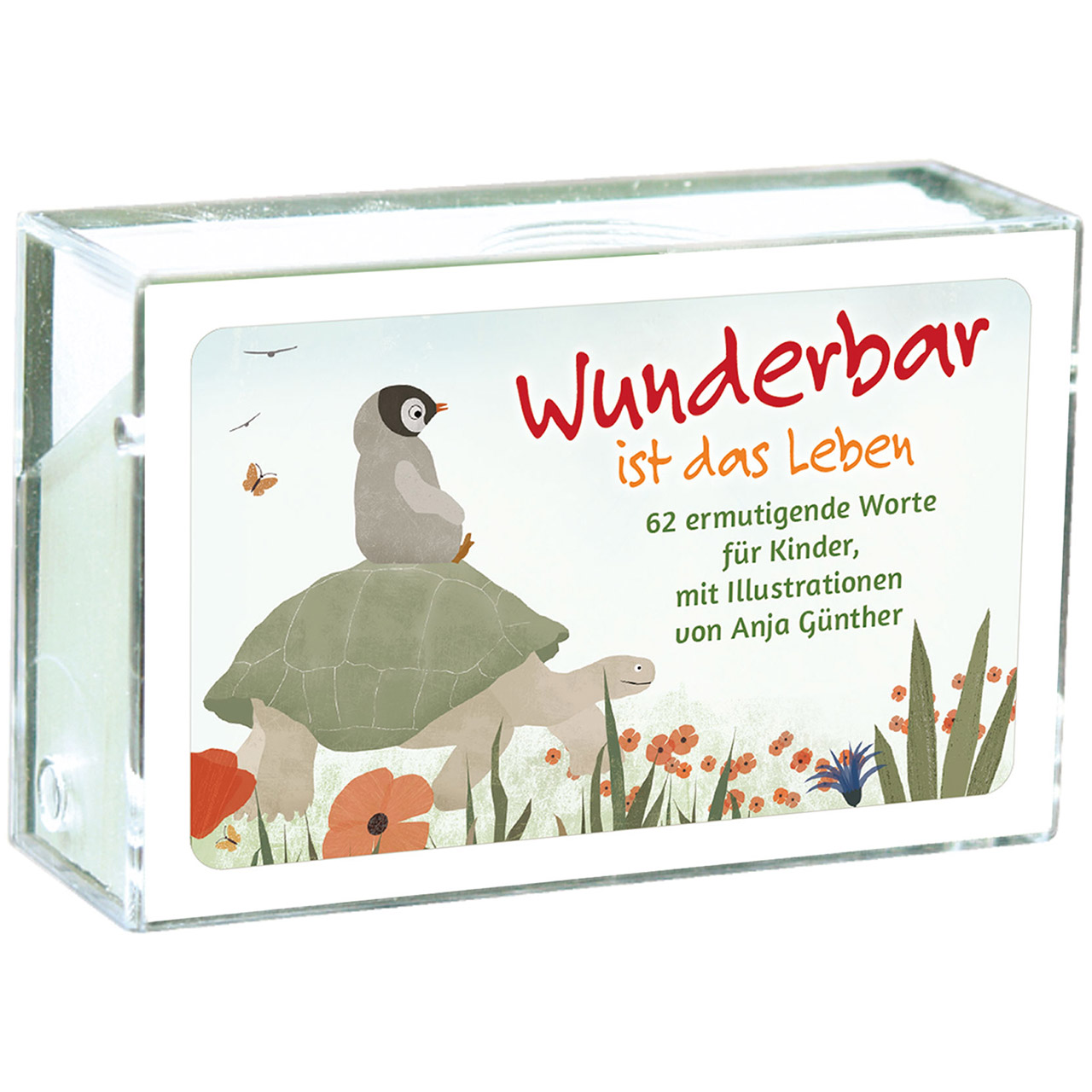 Wunderbar ist das Leben Karten-Box Kunststoff - Wunderbar ist das Leben - Pinguin Schildkröte