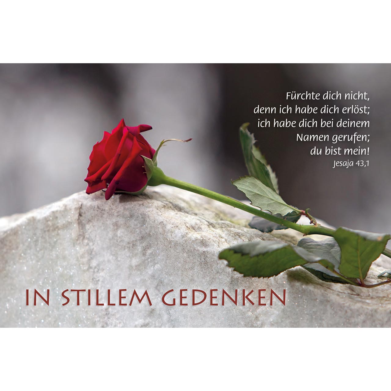 Faltkarte - In stillem Gedenken - rote Rose
