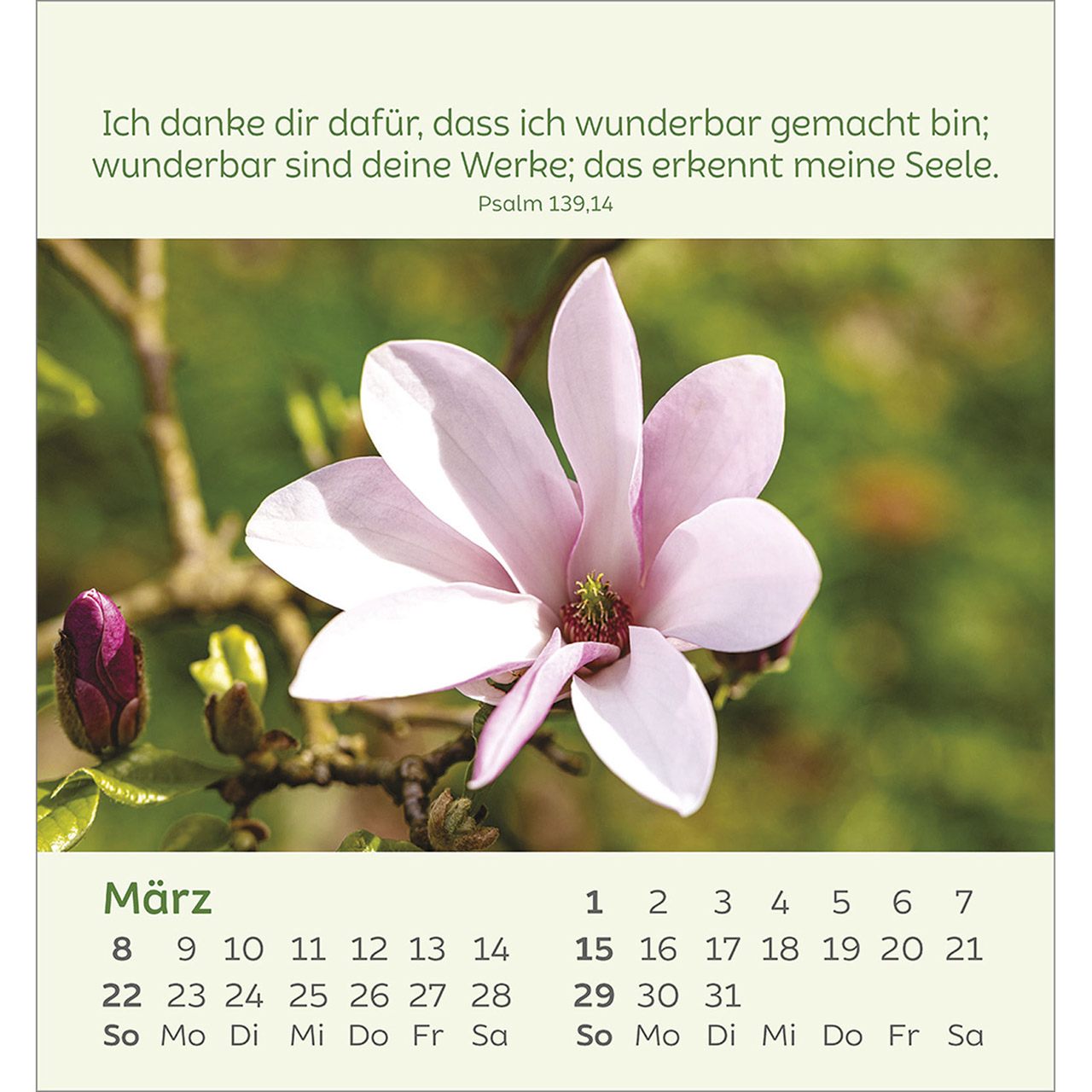 Tischkalender - Kleine Blumengrüße 2026