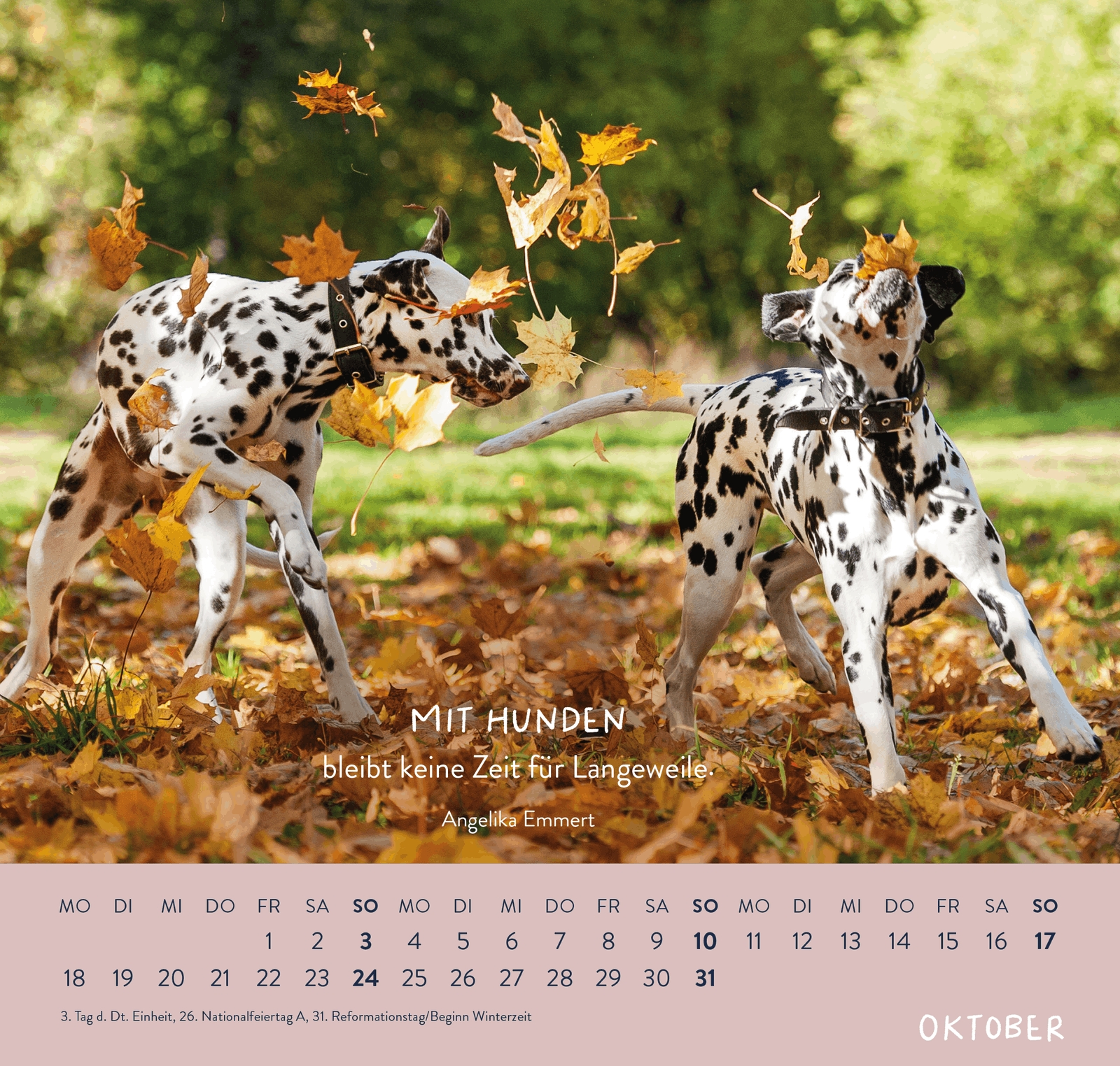 Wandkalender - Für Hundefreunde 2027